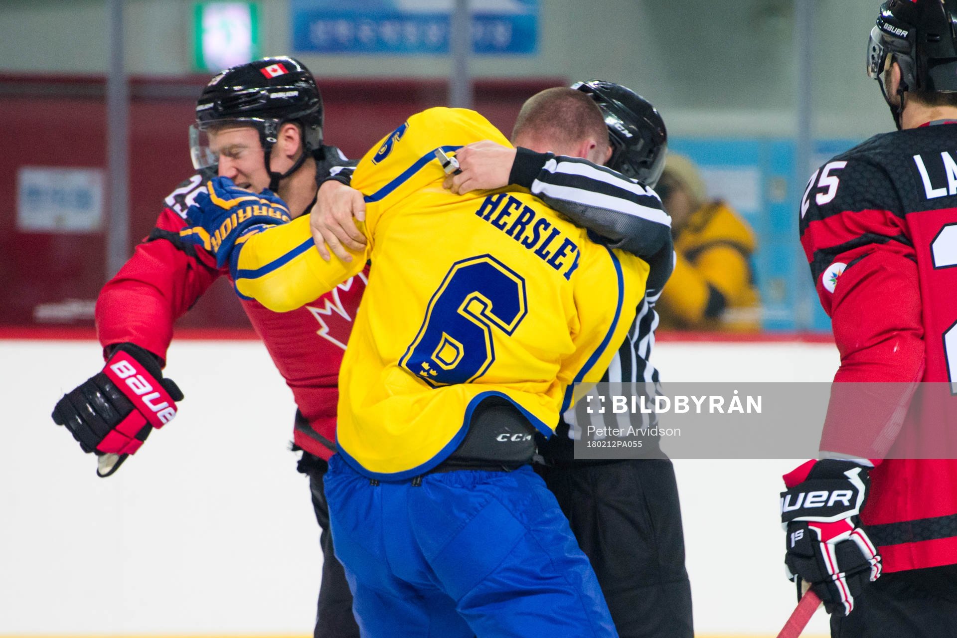 Patrik Hersley of Sweden in a fight with Rob Klinkhammer of