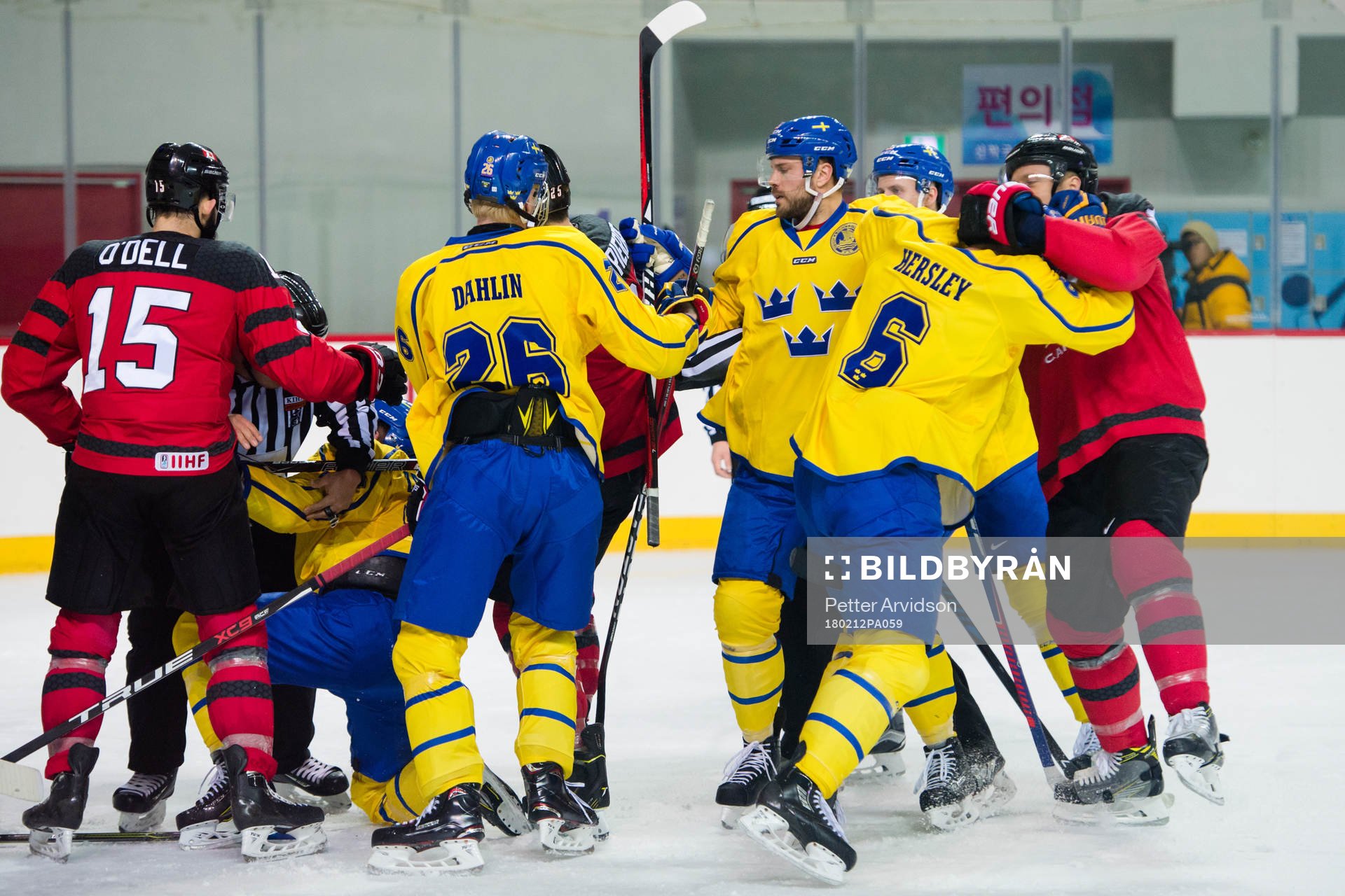 Patrik Hersley of Sweden in a fight with Rob Klinkhammer of