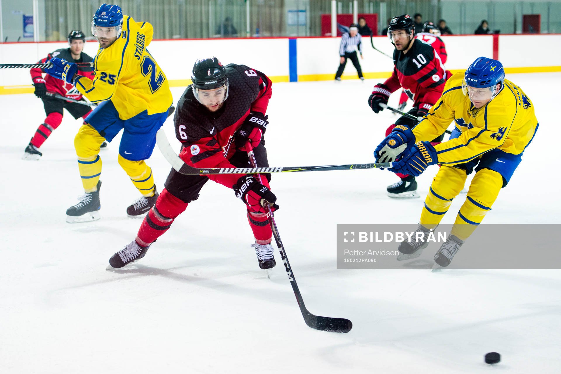 Dick Axelsson and Erik Gustafsson of Sweden  against Maxim