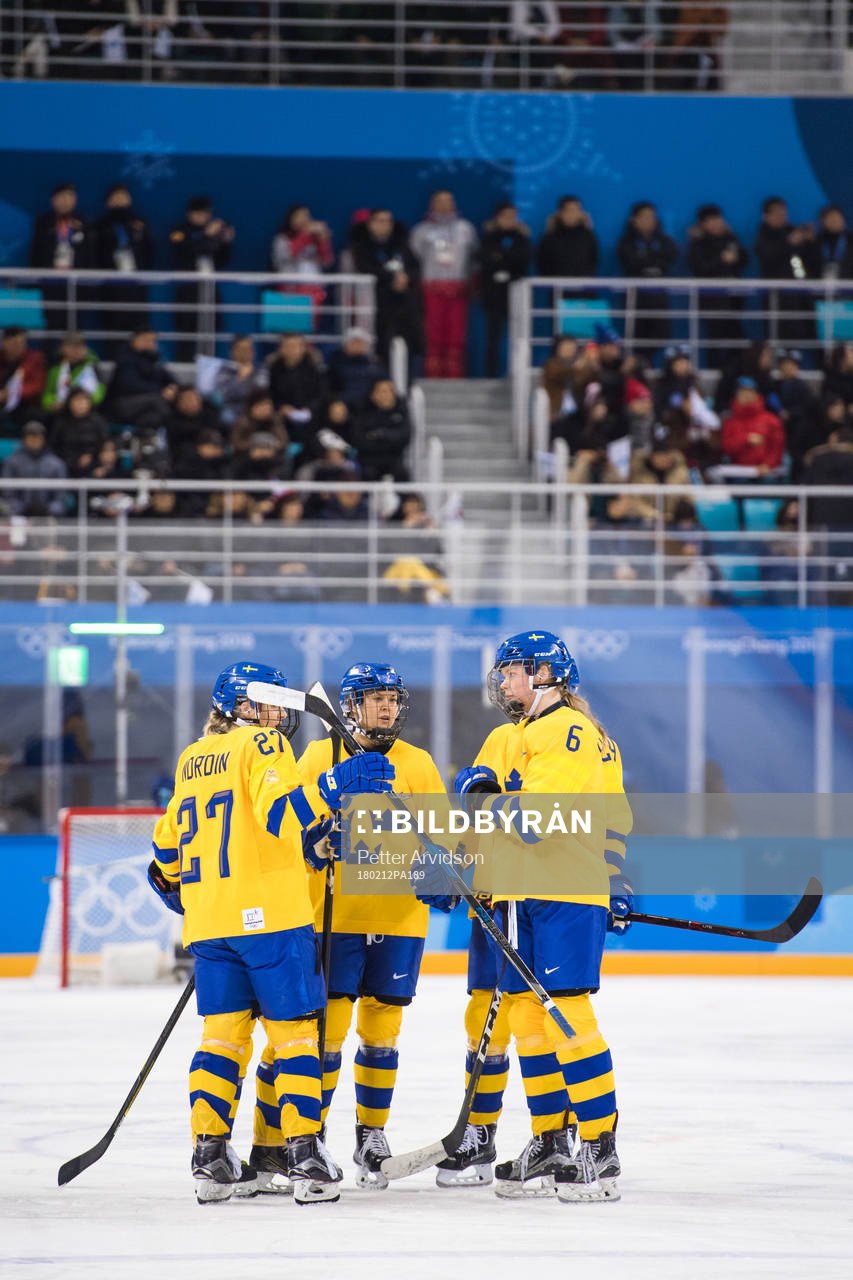Players of Sweden