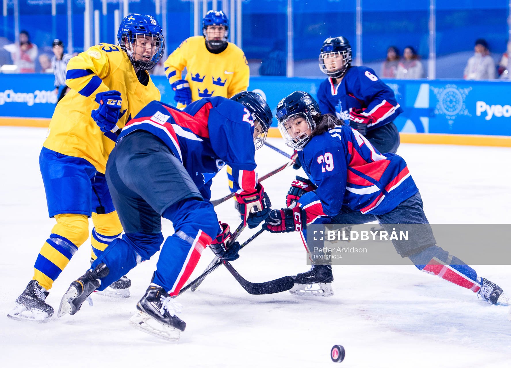 Rebecca Stenberg of Sweden and Lee Jingyu of Korea