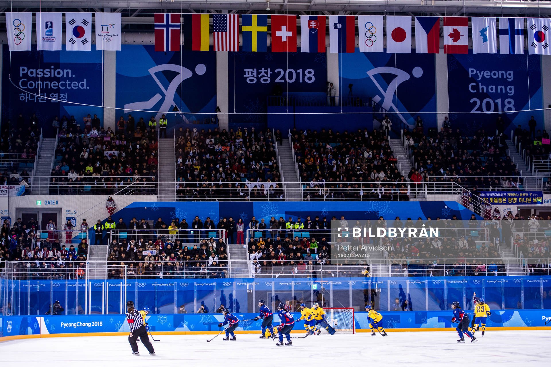 Flags above the ice