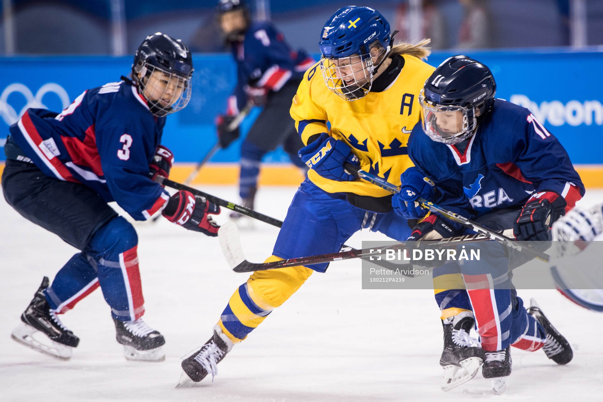 Sara Hjalmarsson of Sweden in action with Eom Suyeon of