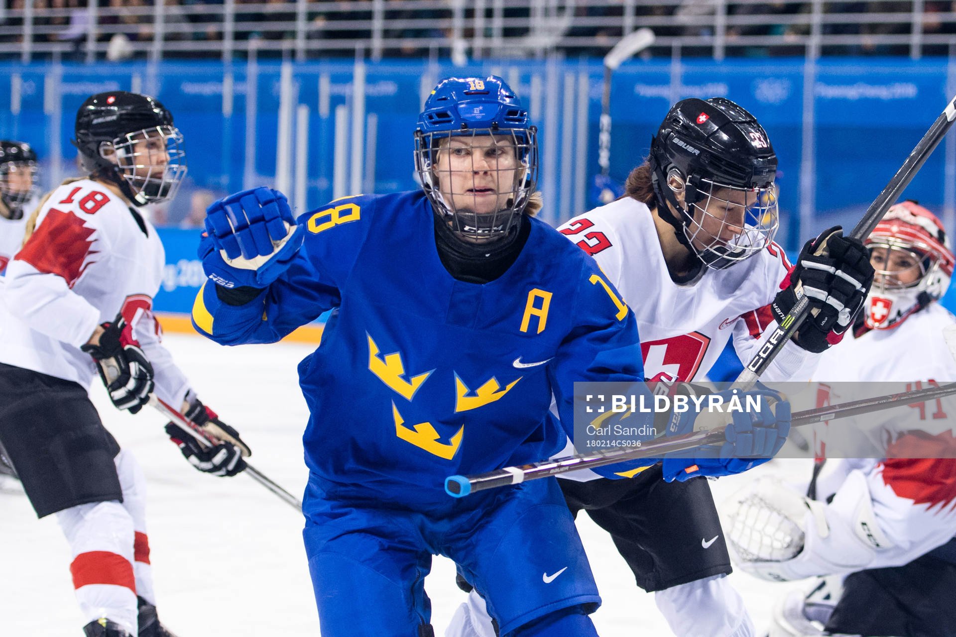 Anna Borgqvist of Sweden celebrates the 1-1 goal  in the
