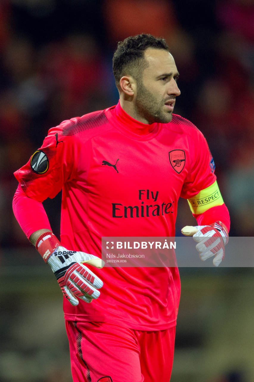 Arsenals målvakt David Ospina
