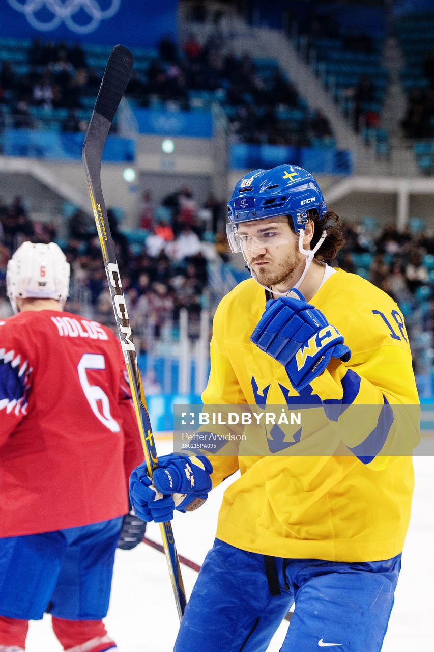 Dennis Everberg of Sweden celebrates scoring 0-3 in the