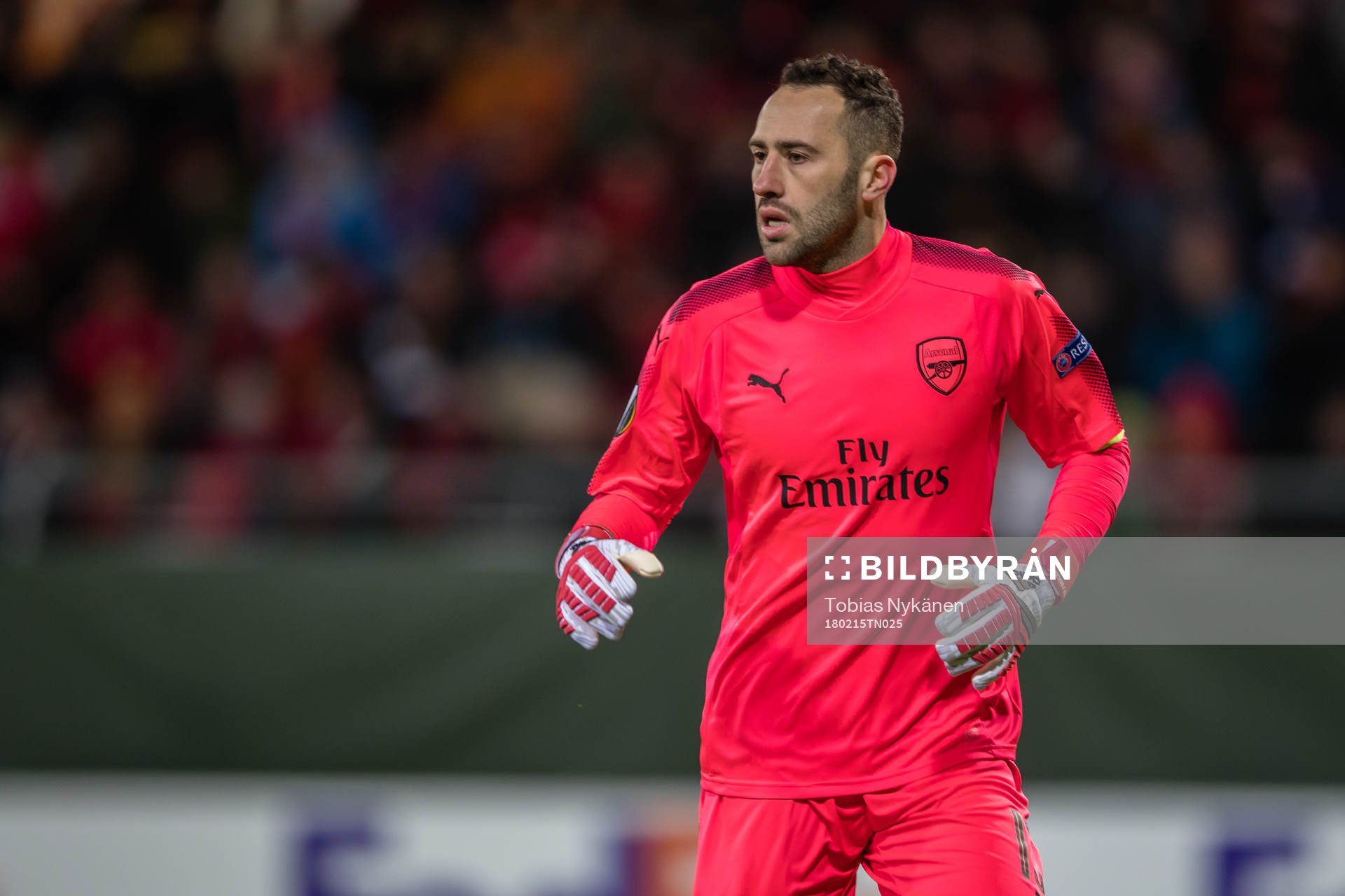 Arsenals målvakt David Ospina