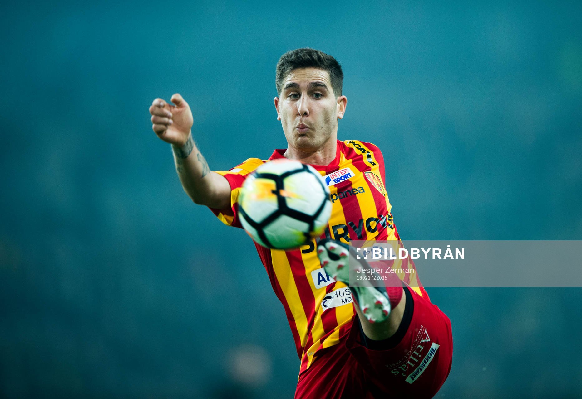 Syrianskas David Yarar