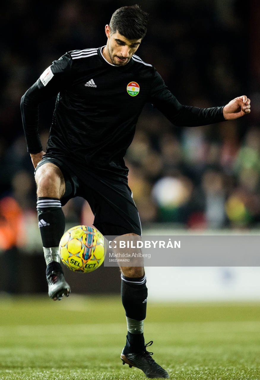 Dalkurds Rewan Amin