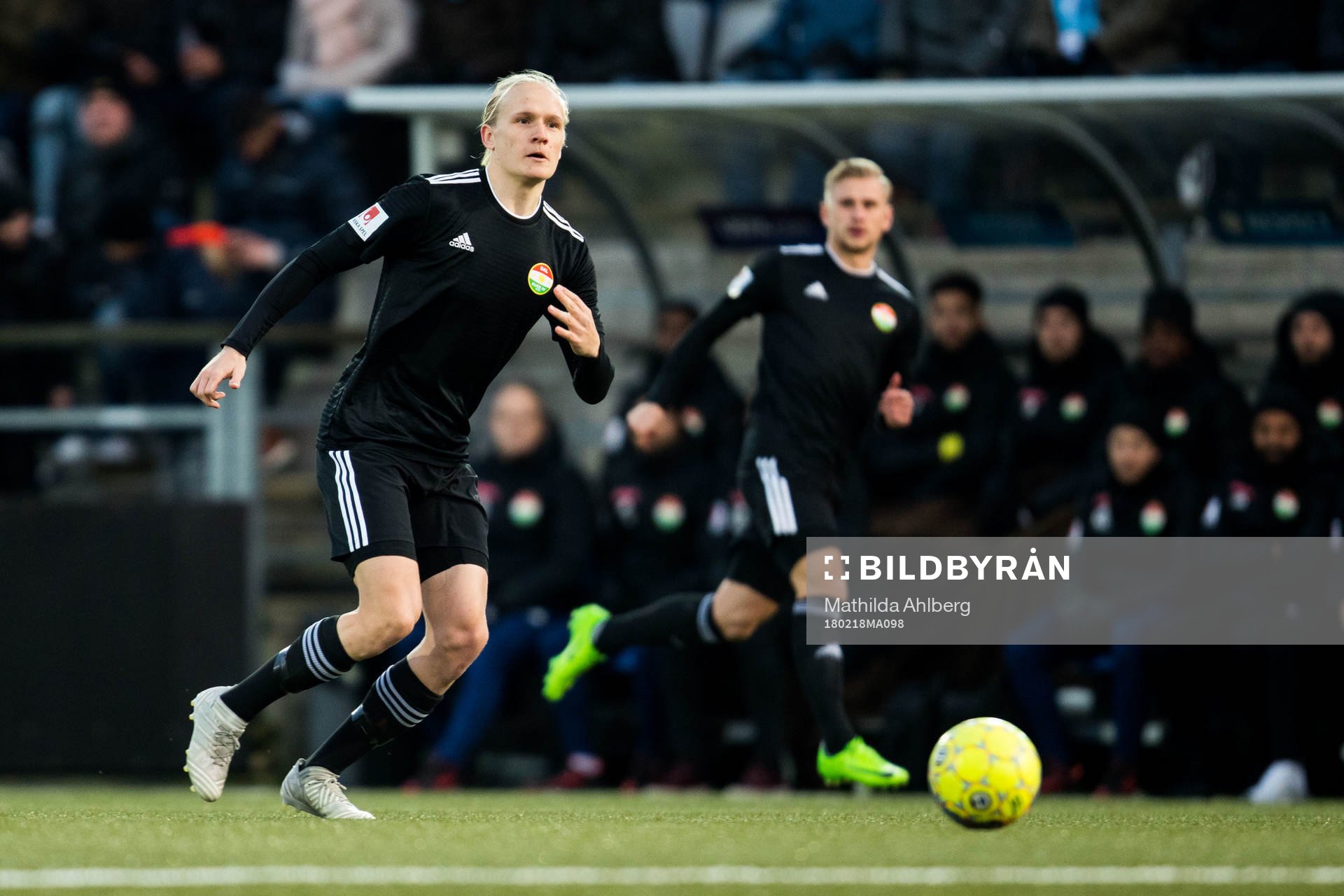 Dalkurds Henrik Löfkvist