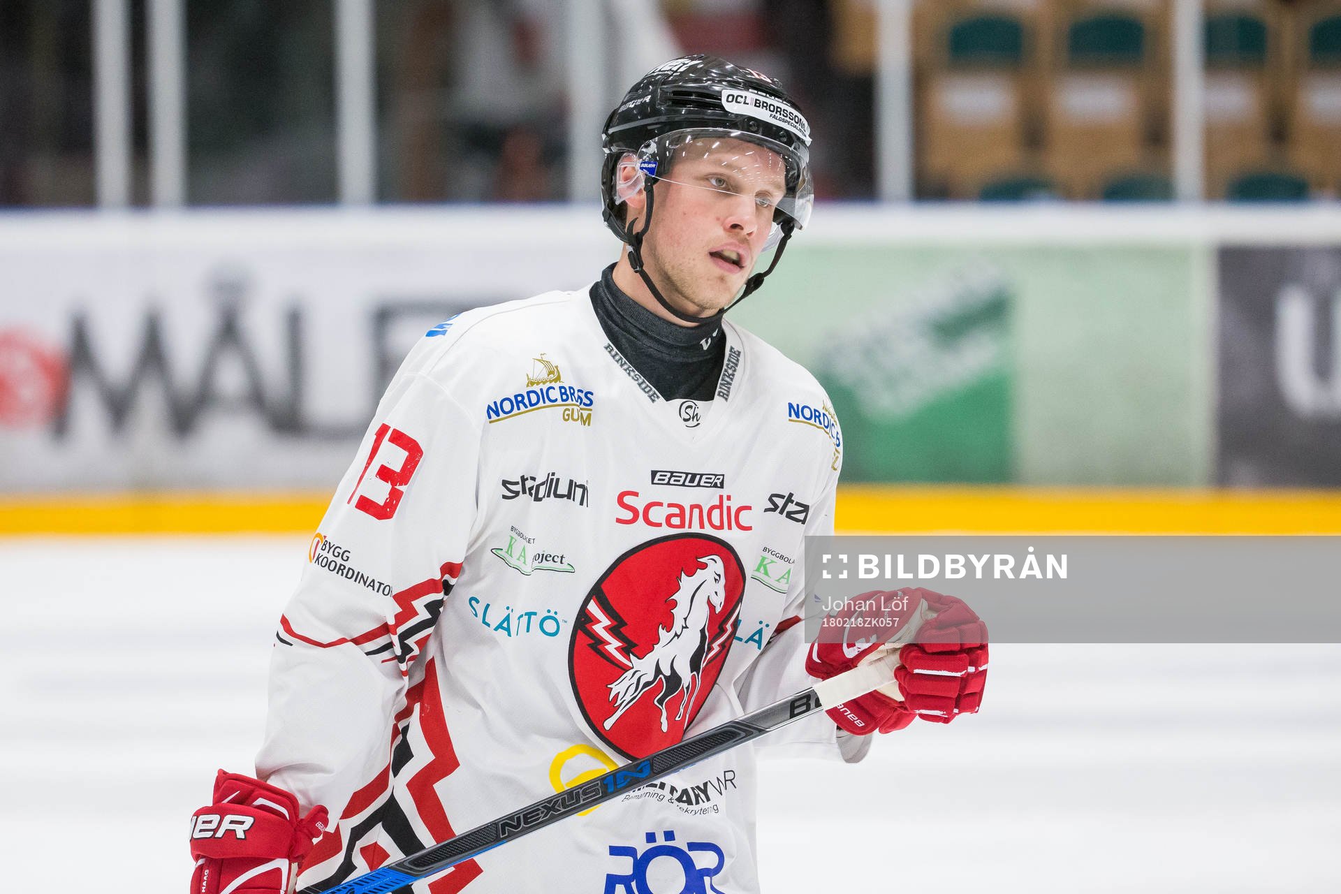Vita Hästens Villiam Haag