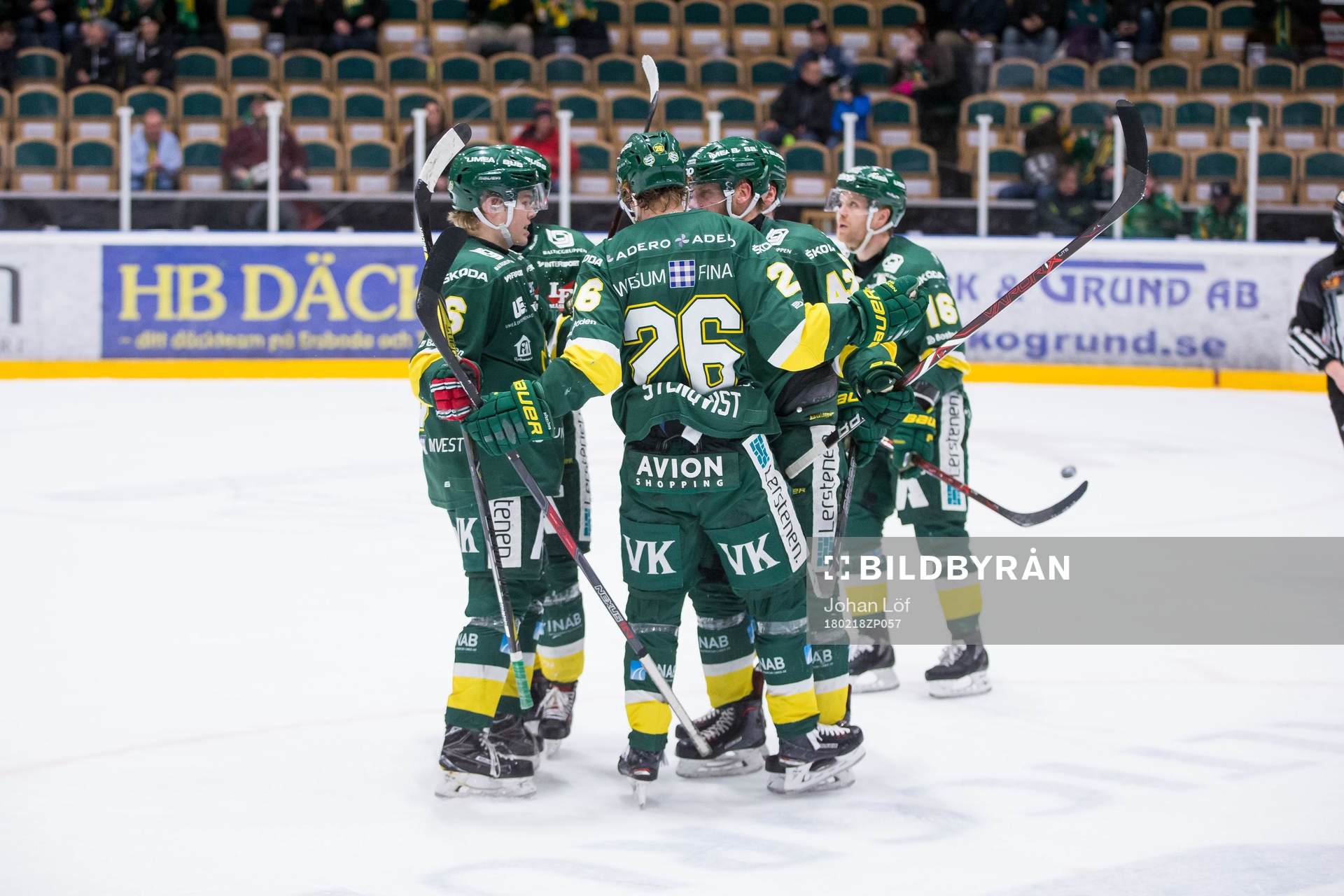 Björklöven jublar