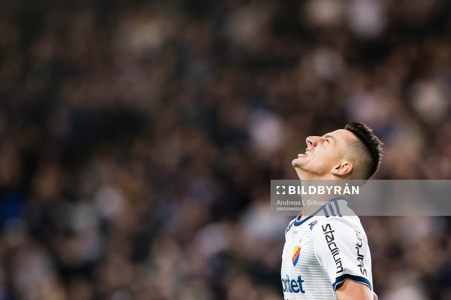 Djurgårdens Haris Radetinac jublar edter att ha gjort 1-0