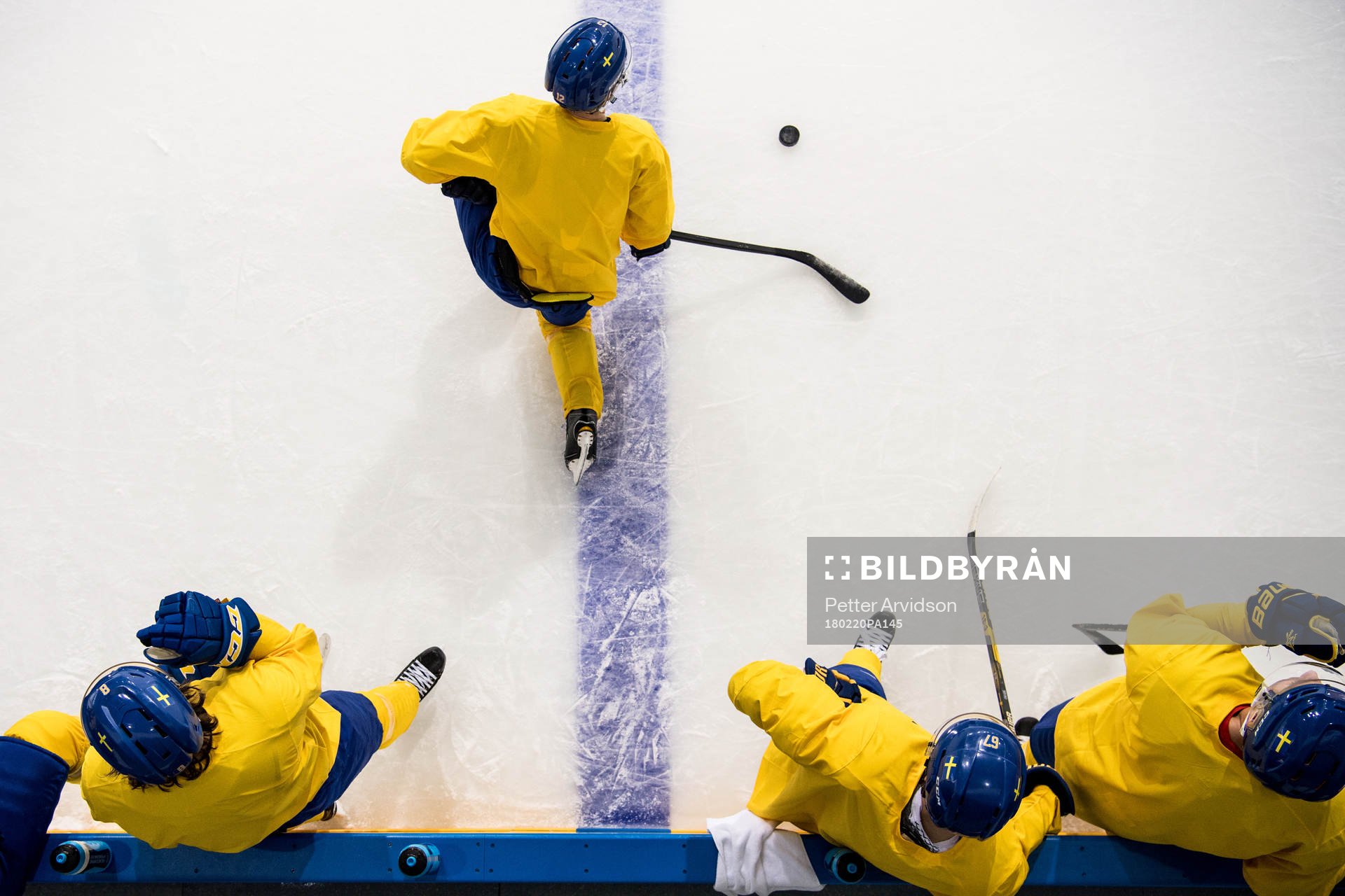 Players of Sweden