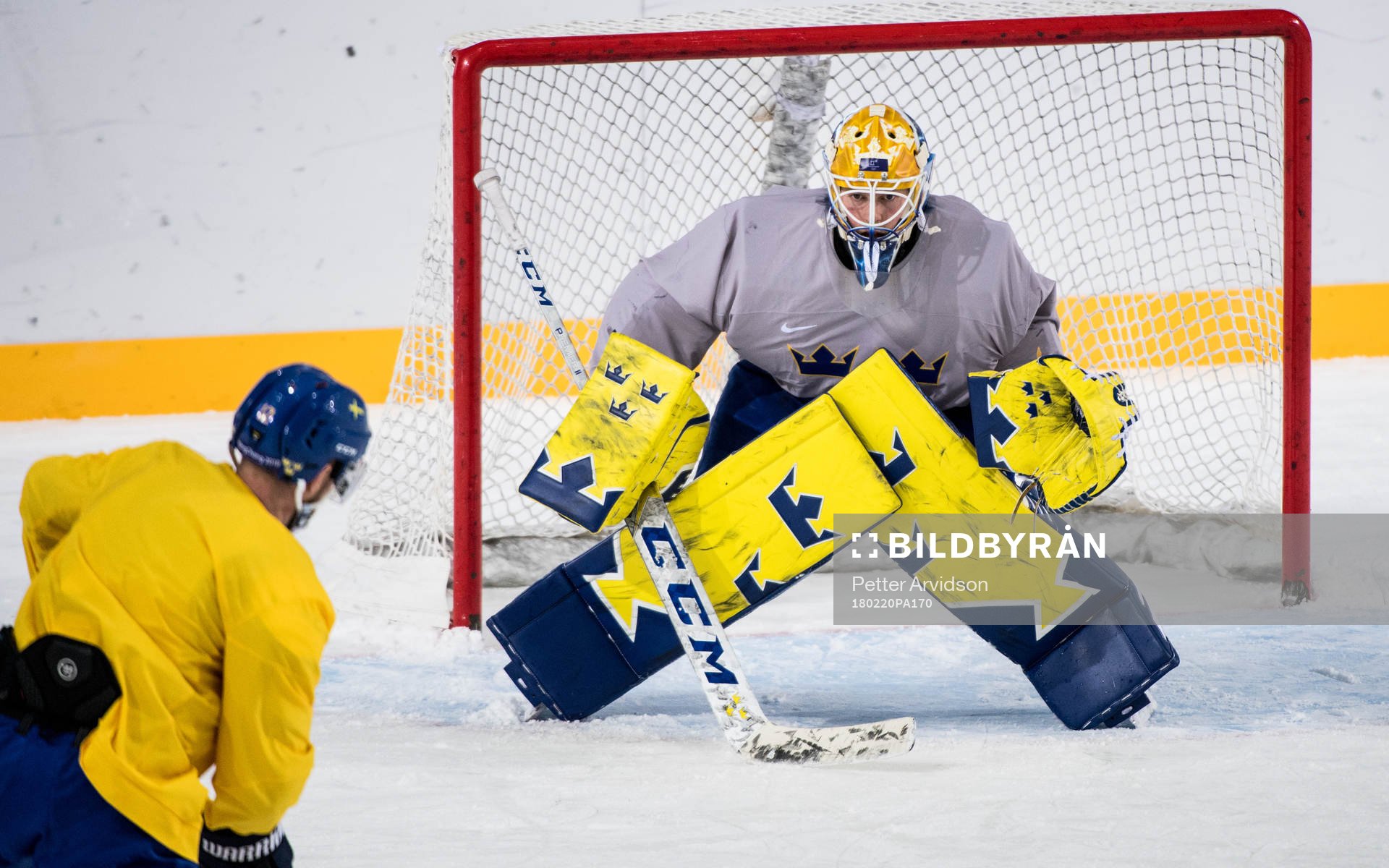 Goaltender Magnus Hellberg of Sweden