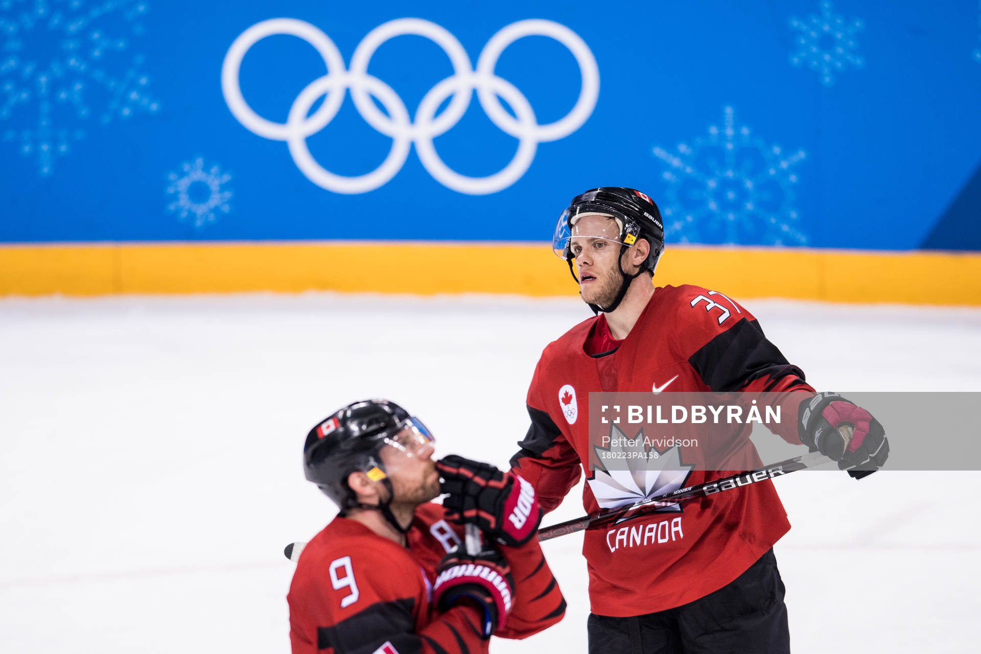 Mat Robinson and Derek Roy of Canada looks dejected