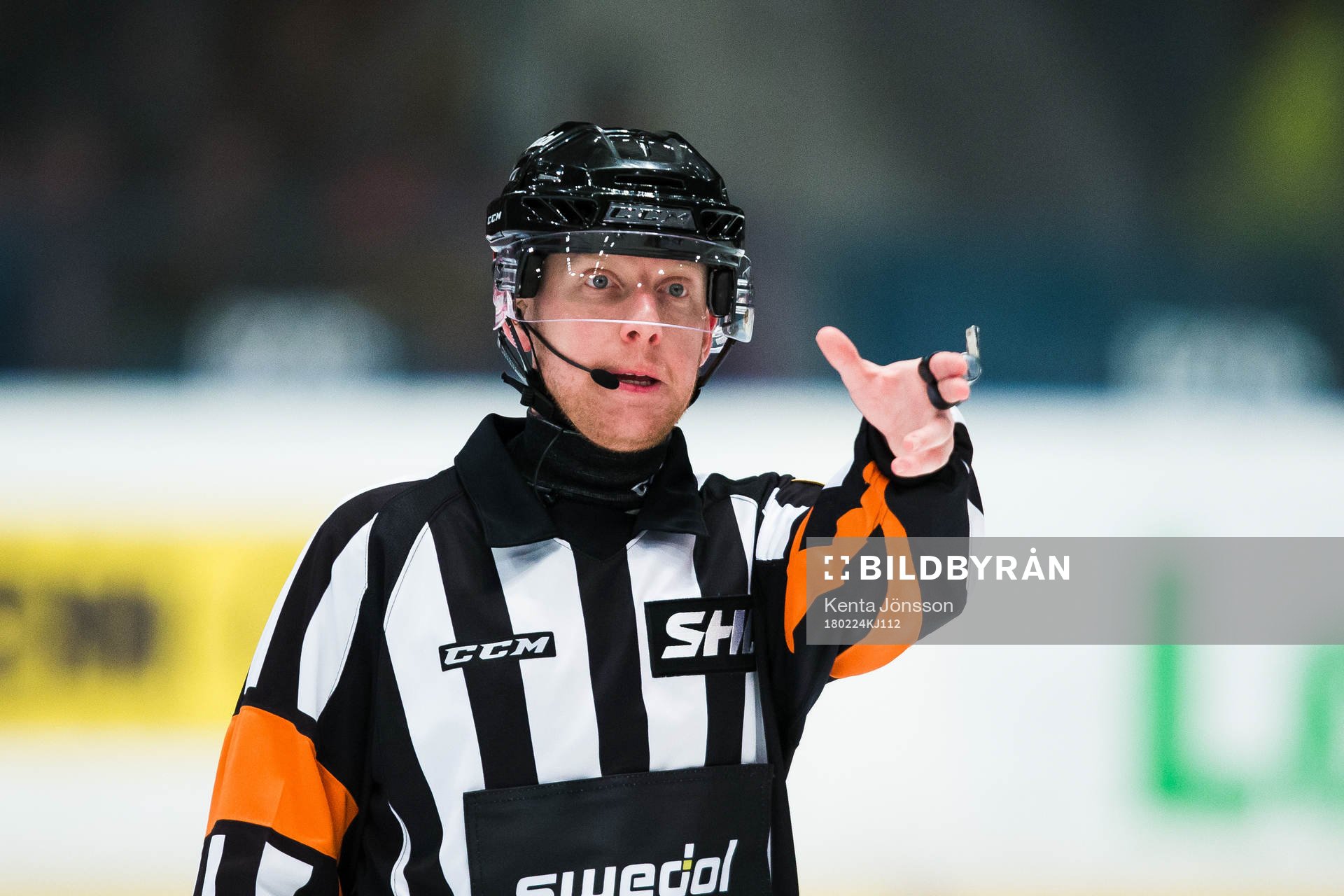 Domare Mikael Holm