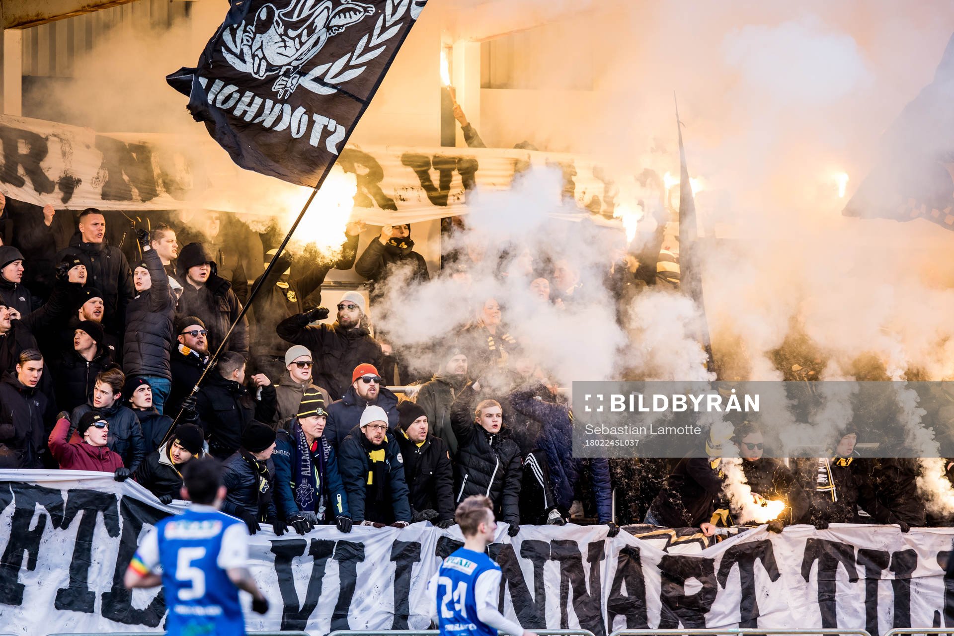 s fans bränner bengaler