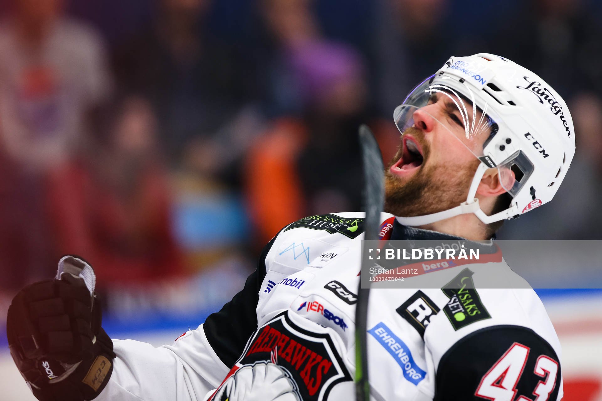 Malmö Redhawks Nichlas Hardt jublar