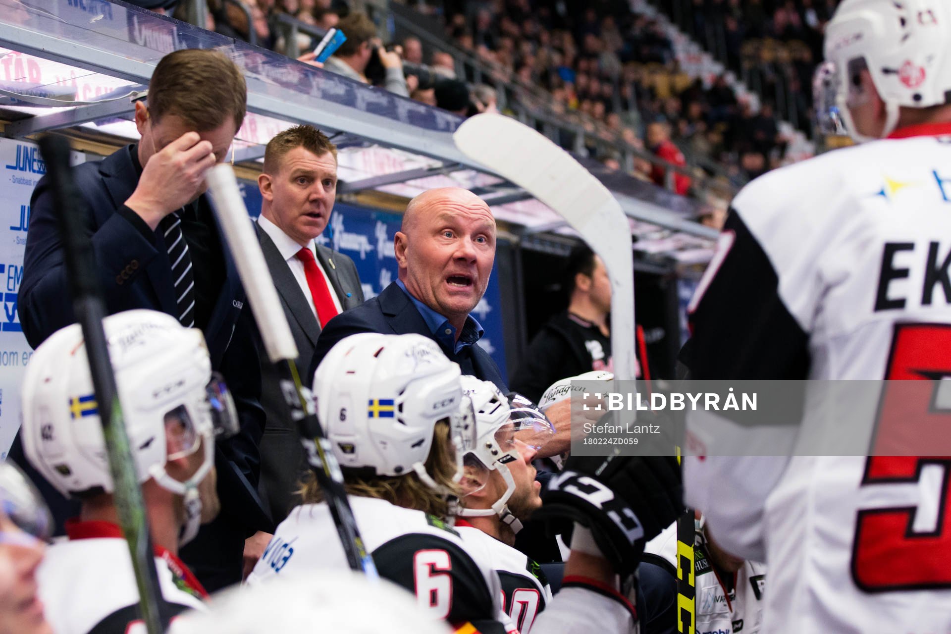 Malmö Redhawks tränare Peter Andersson
