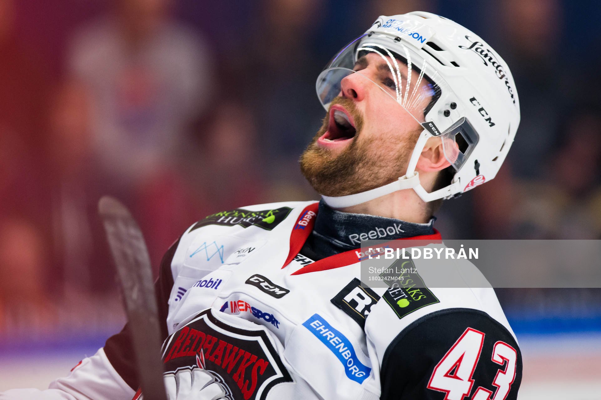 Malmö Redhawks Nichlas Hardt jublar