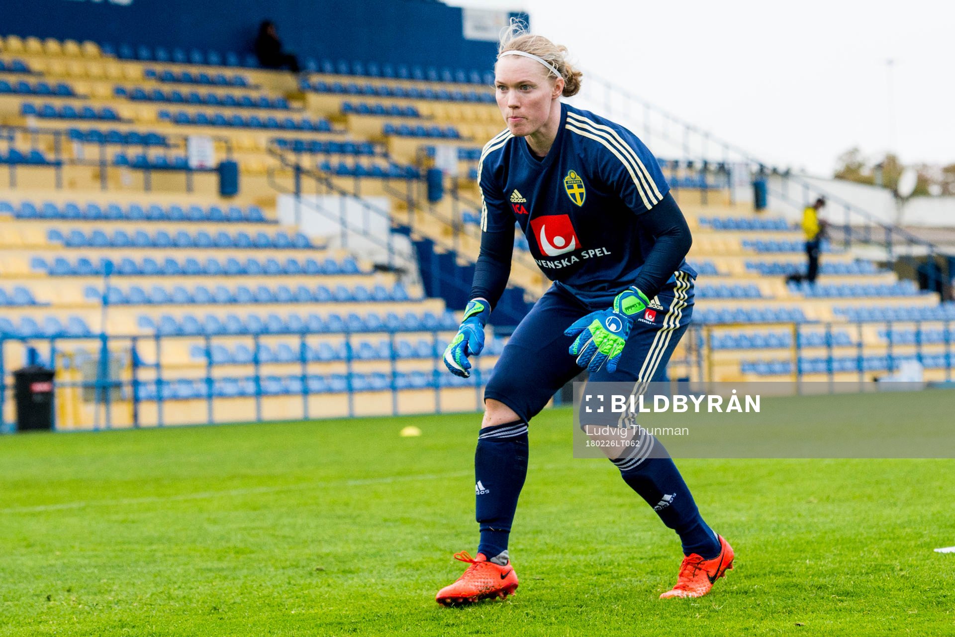 Hedvig Lindahl