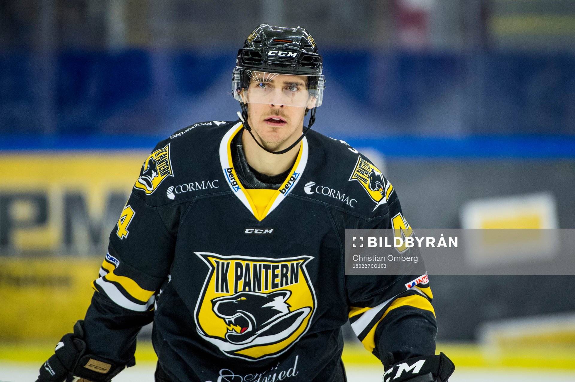 Panterns Kevin Hecquefeuille