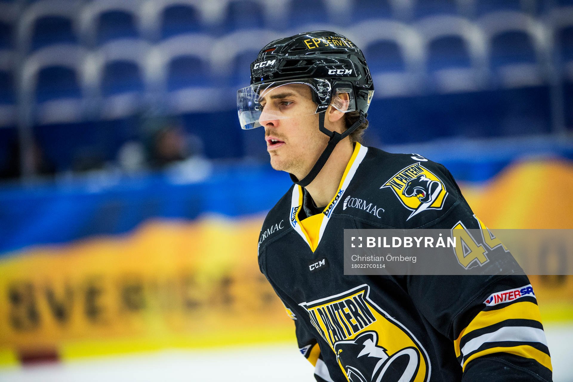 Panterns Kevin Hecquefeuille