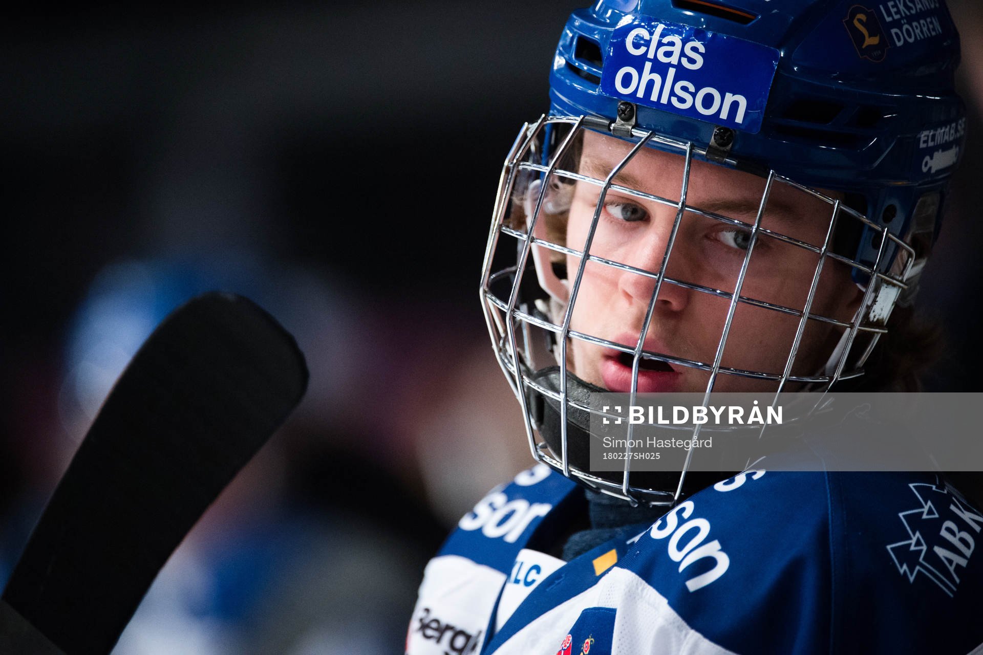 Leksands Wilde Bröms