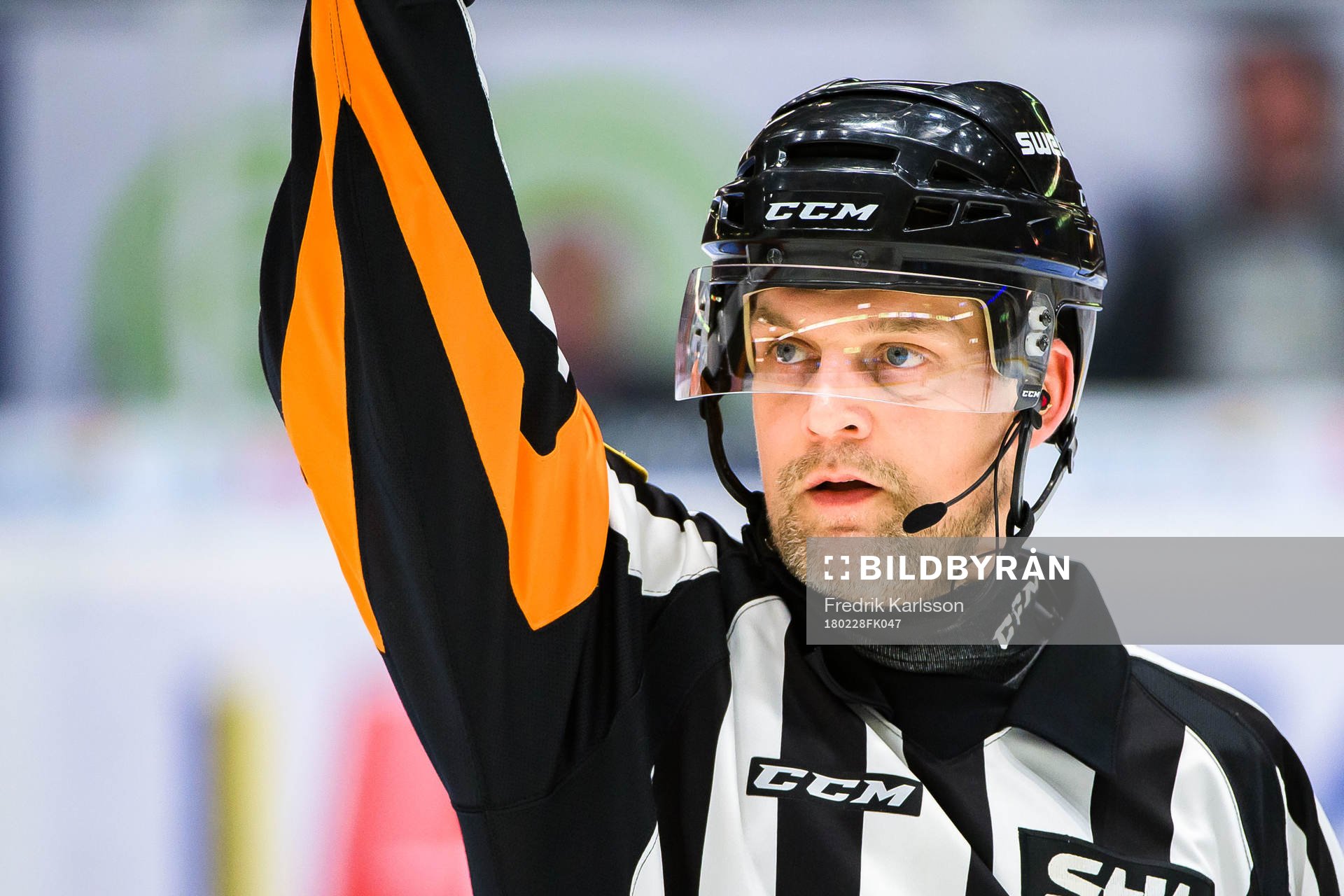 Domare Mikael Nord