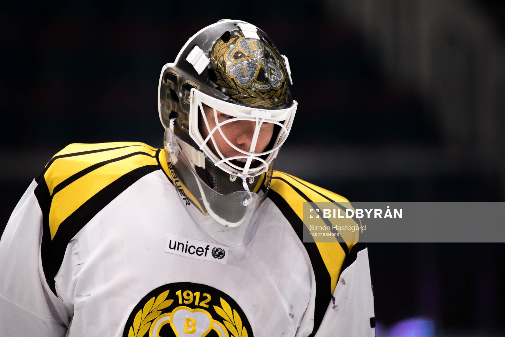 Brynäs målvakt Linus Fernström före ishockeymatchen i