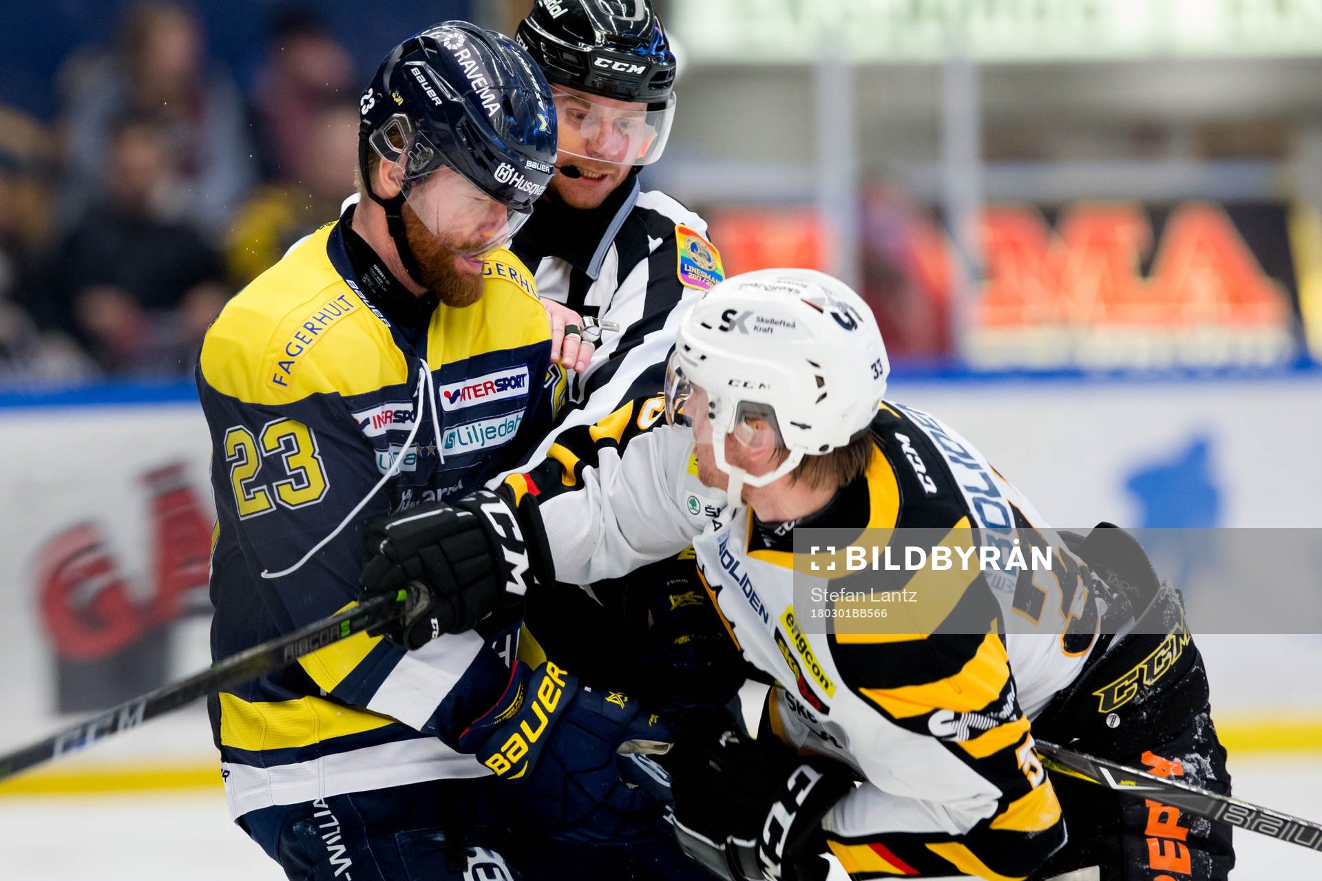 s Robin Figren i gruff med Skellefteås Sebastian Ohlsson