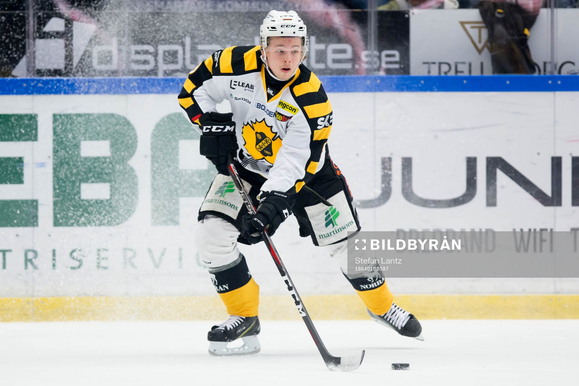 Skellefteås Tim Söderlund
