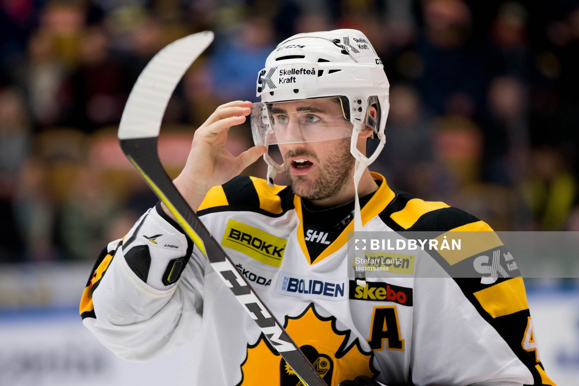 Skellefteås Bud Holloway