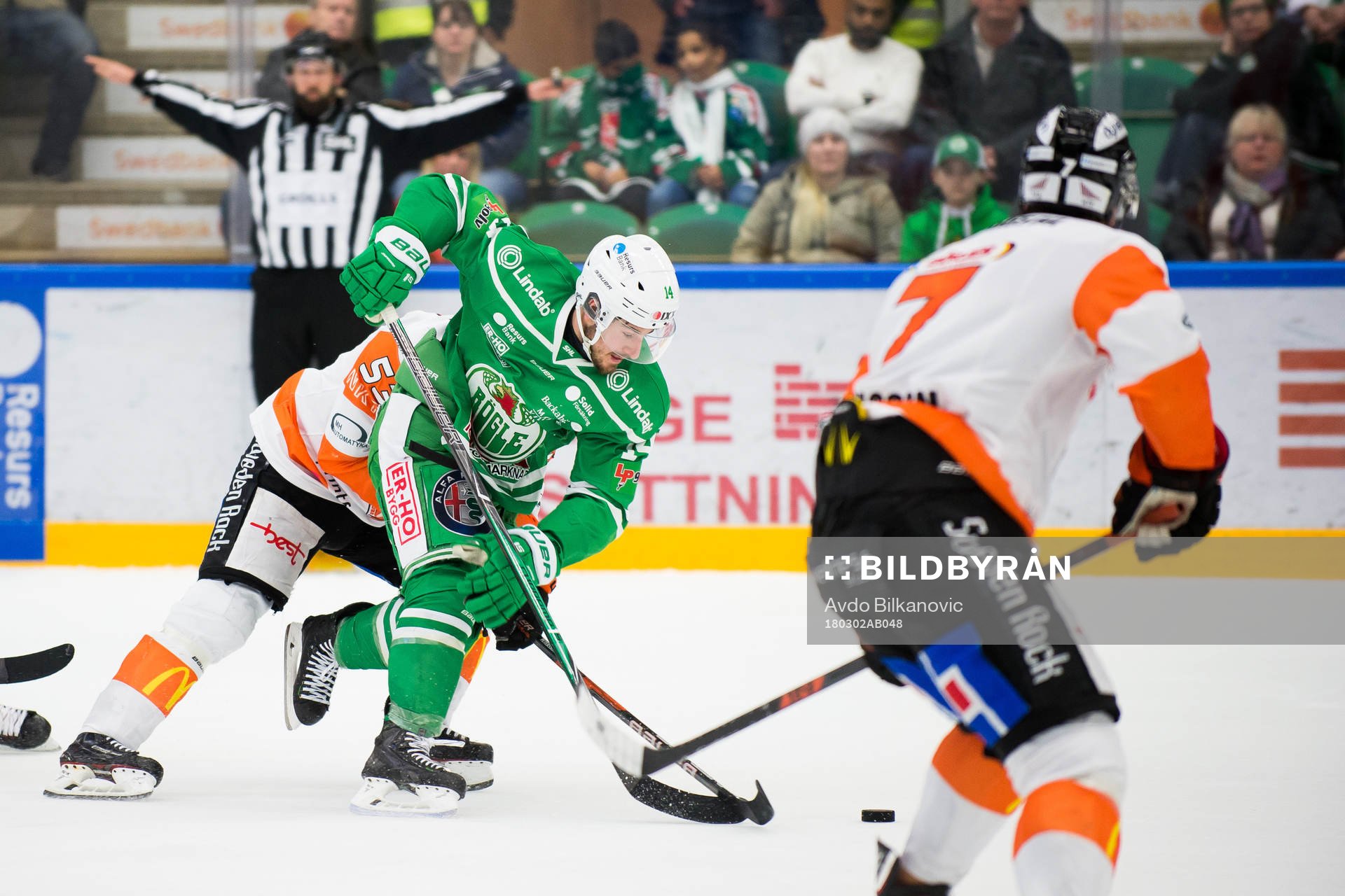 Rögles Stephen Perfetto