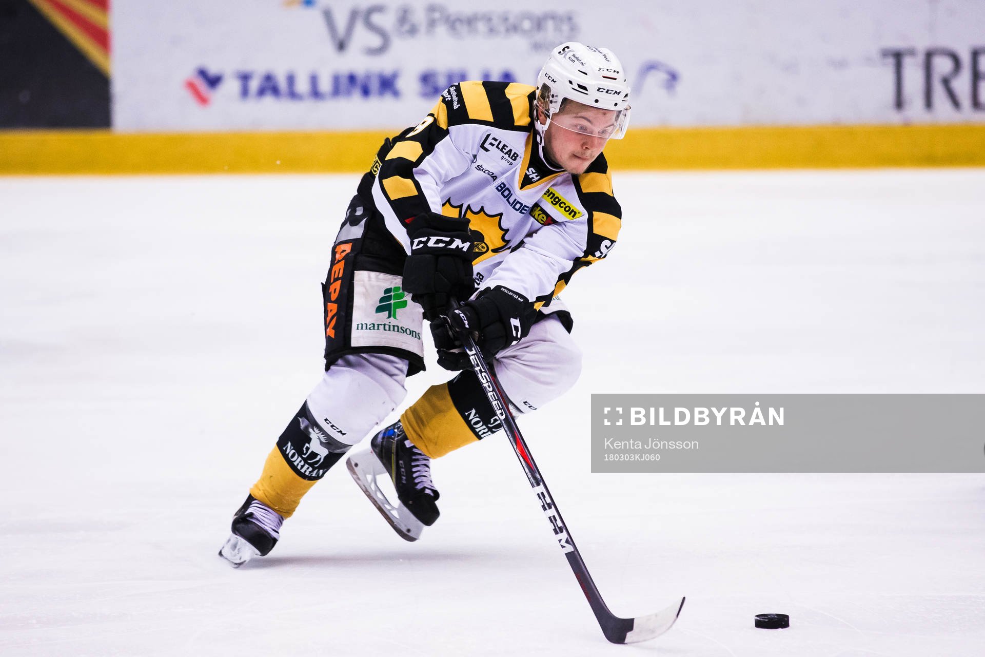 Skellefteås Tim Söderlund