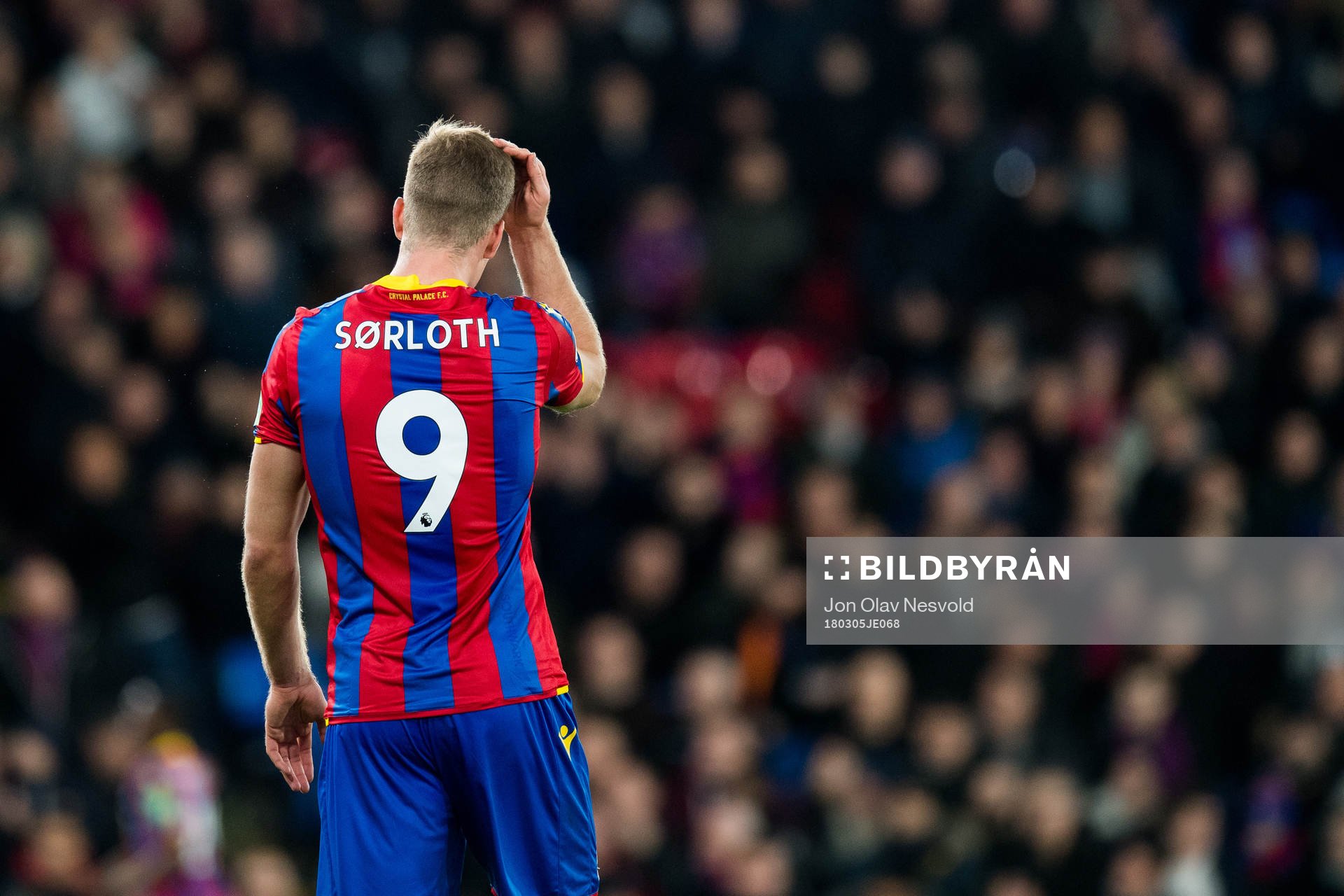 Alexander Sørloth of Crystal Palace