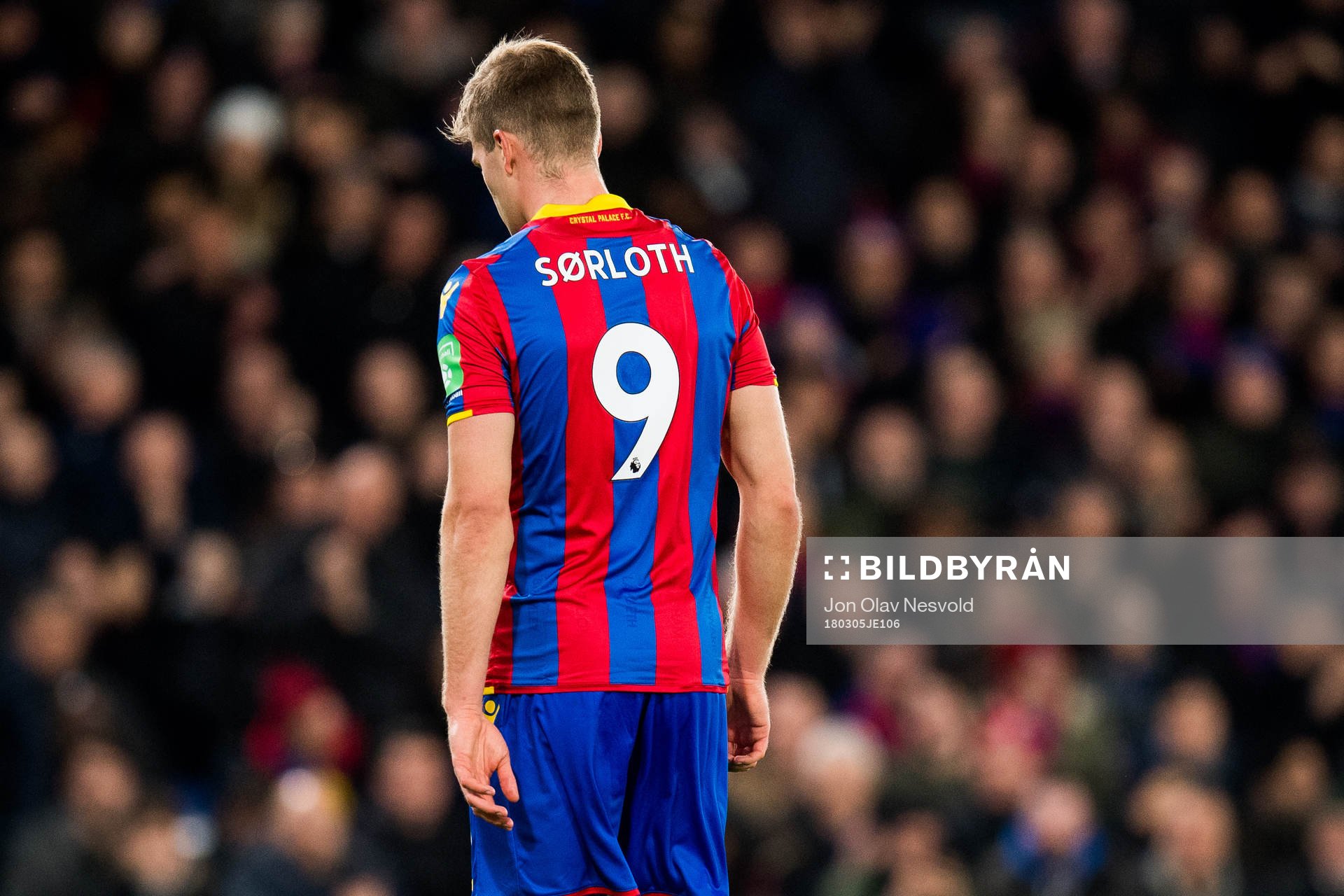 Alexander Sørloth of Crystal Palace