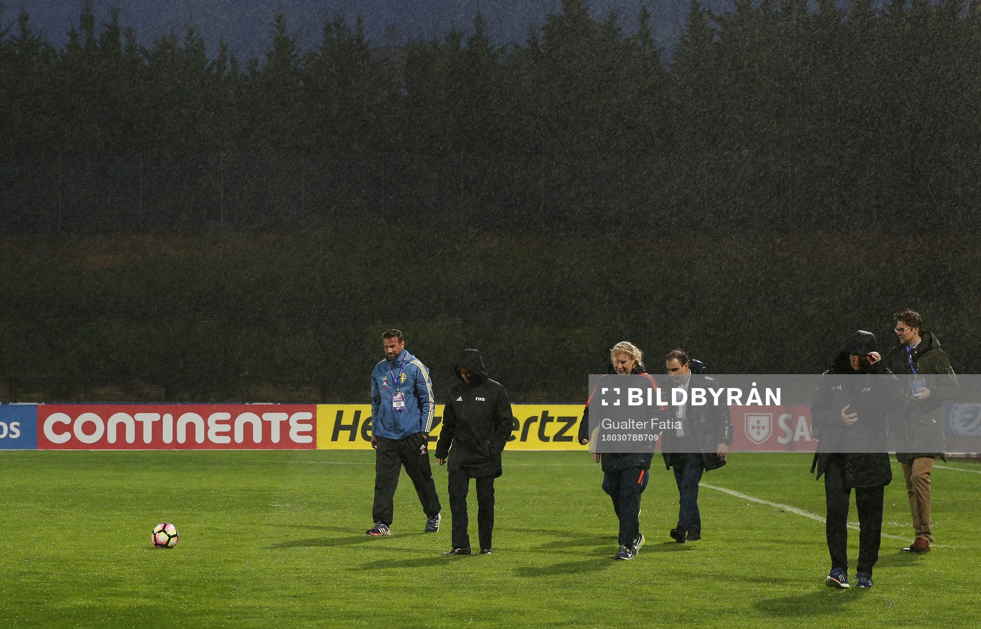 Organization and staff with team members access pitch