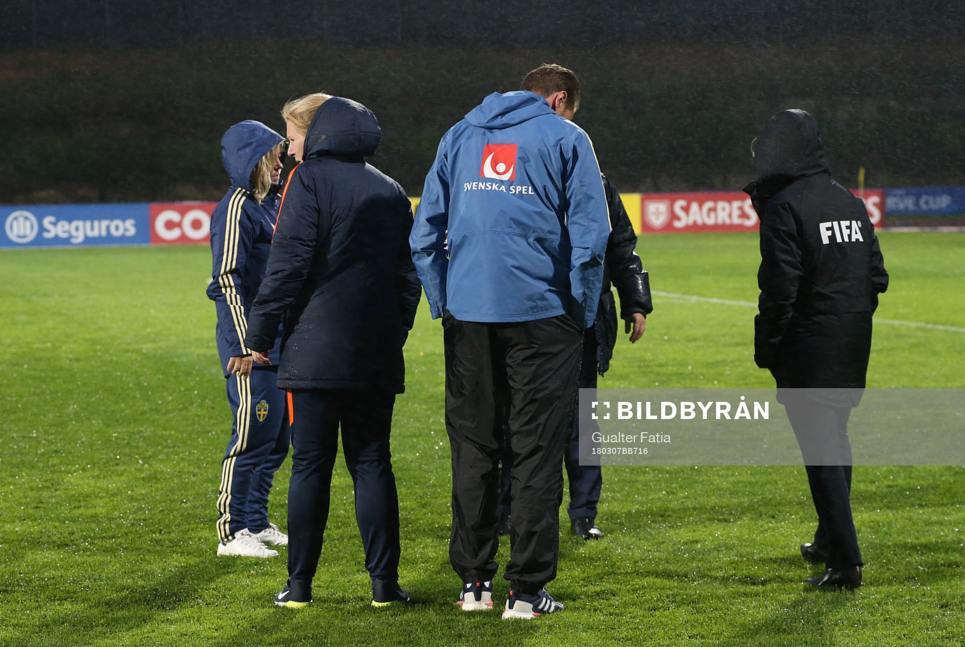 Organization and staff with team members access pitch