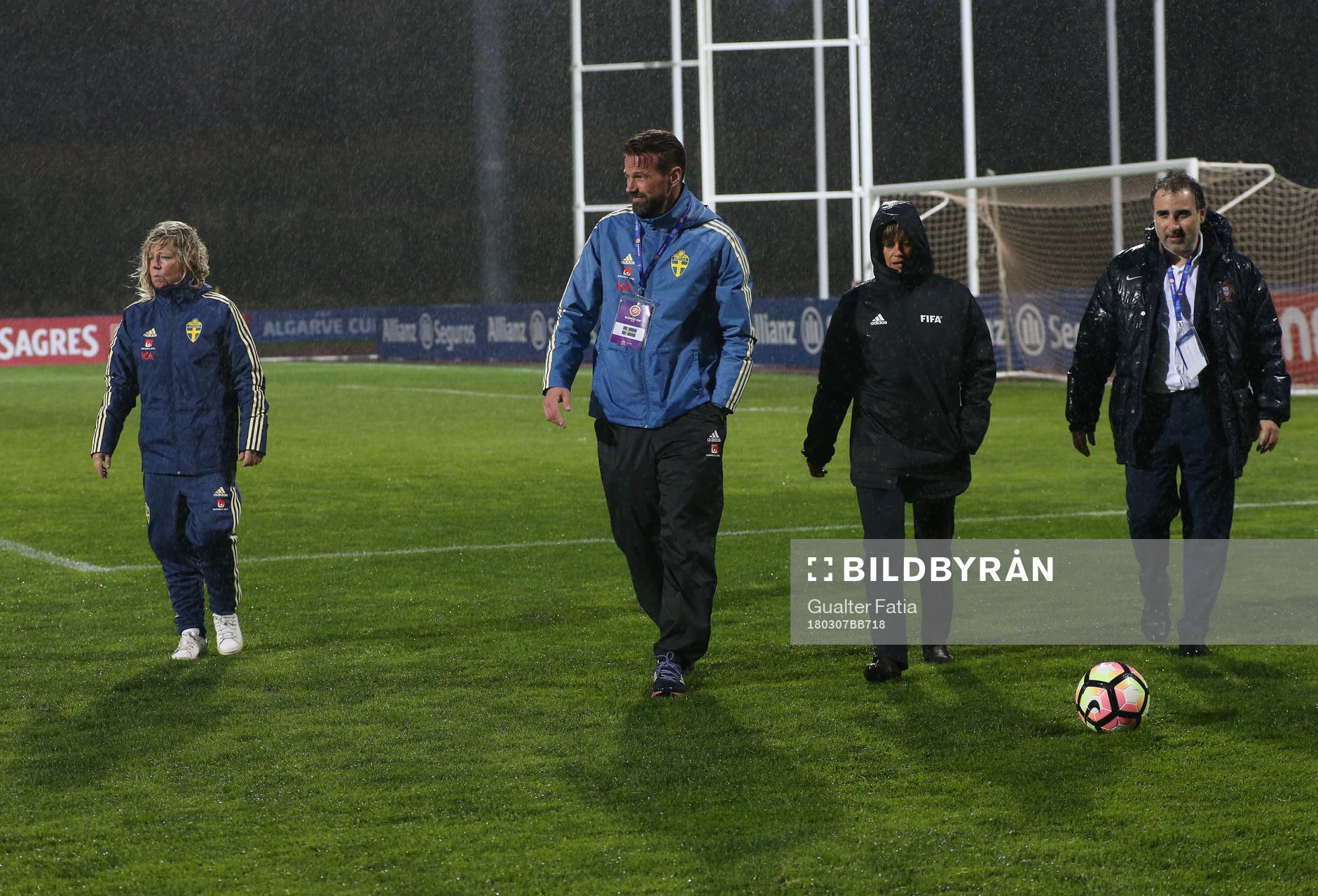Organization and staff with team members access pitch