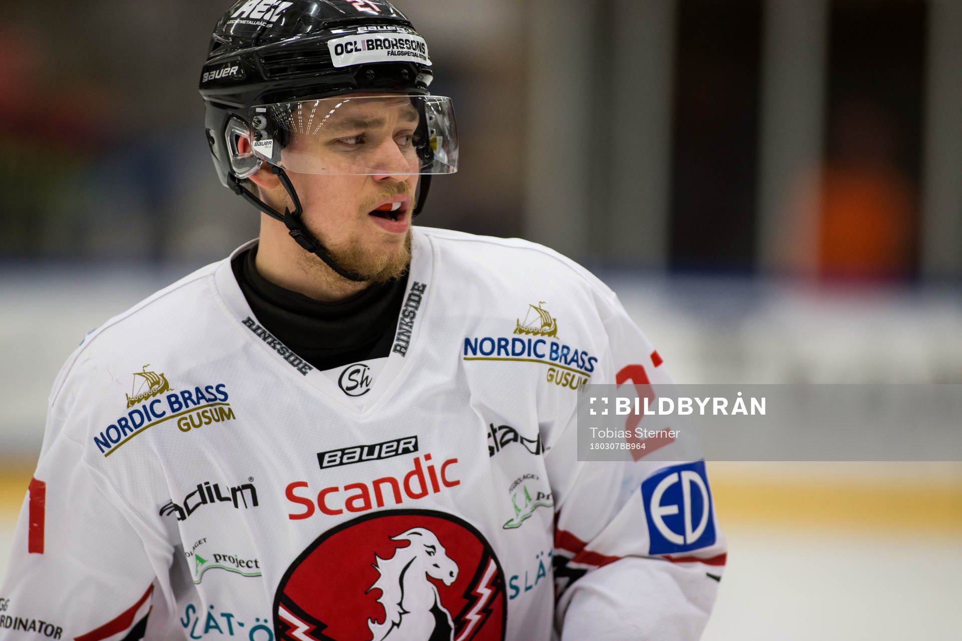 Vita Hästens Kevin Elgestål