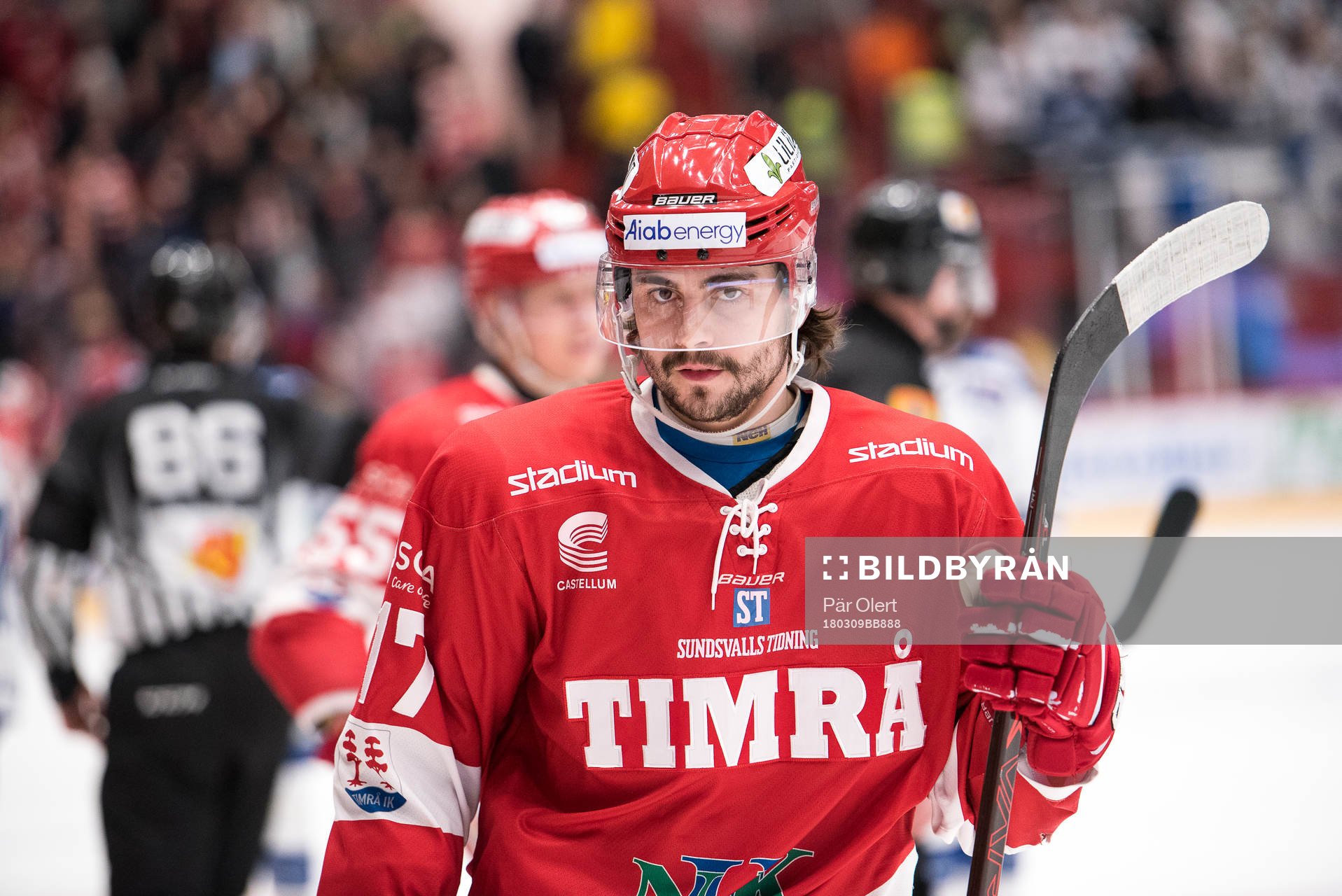 Timrås Alexandre Lavoie