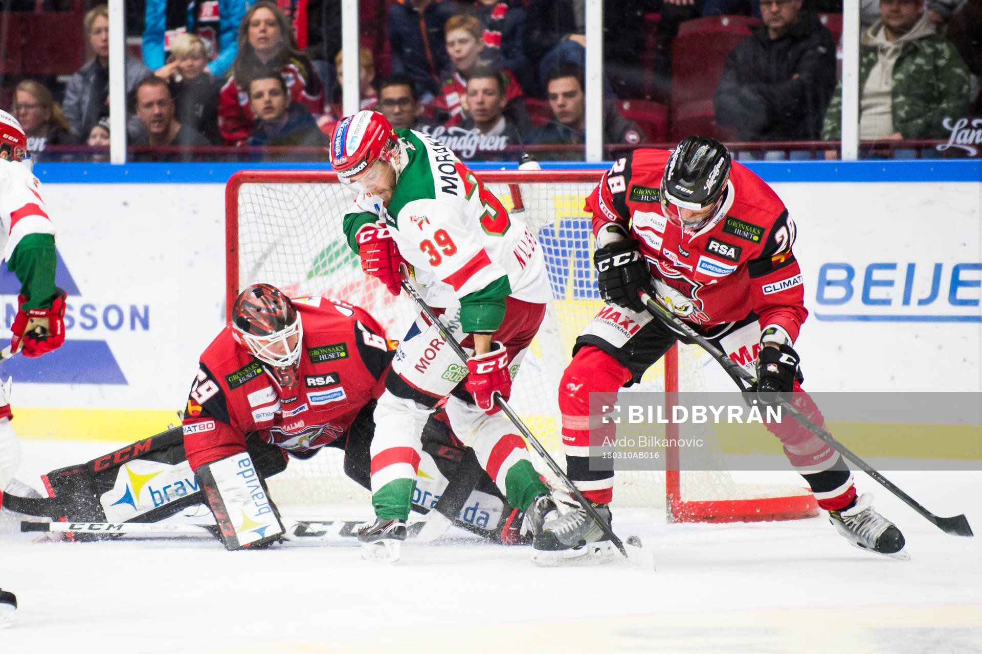 Malmö Redhawks målvakt Oscar Alsenfelt och Moras Jacob
