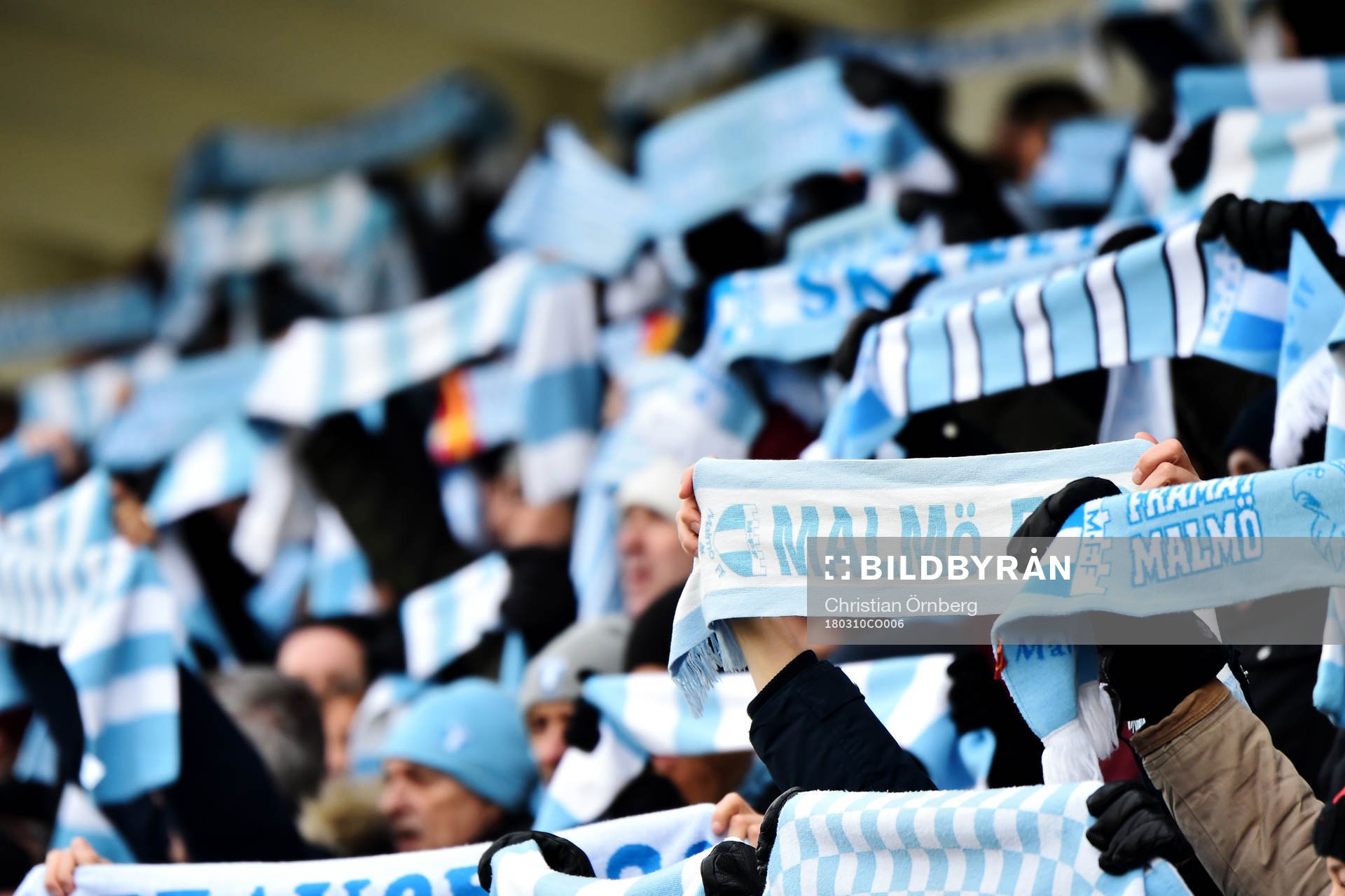 Malmö FFs supportrar håller upp halsdukar
