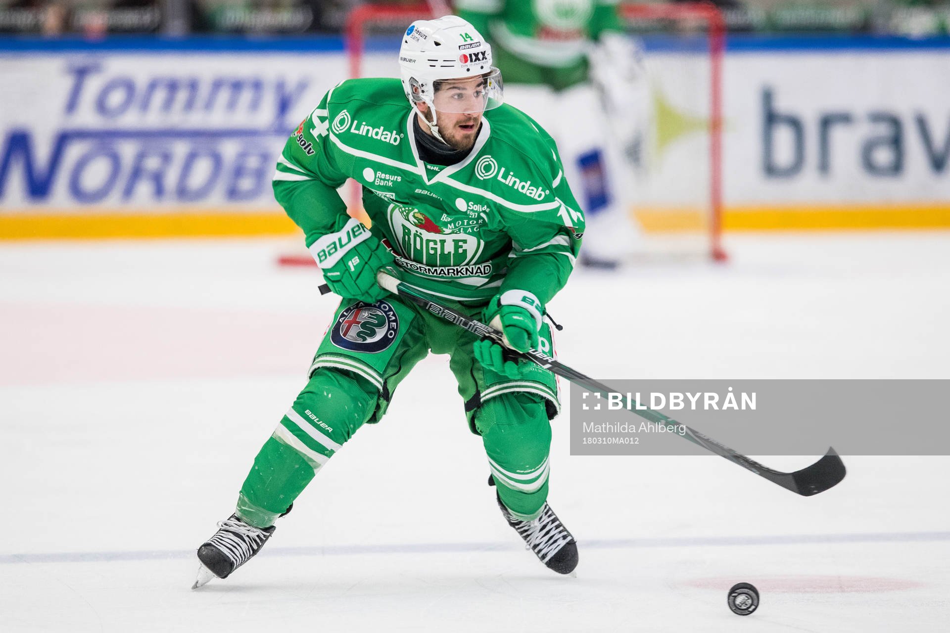 Rögles Stephen Perfetto