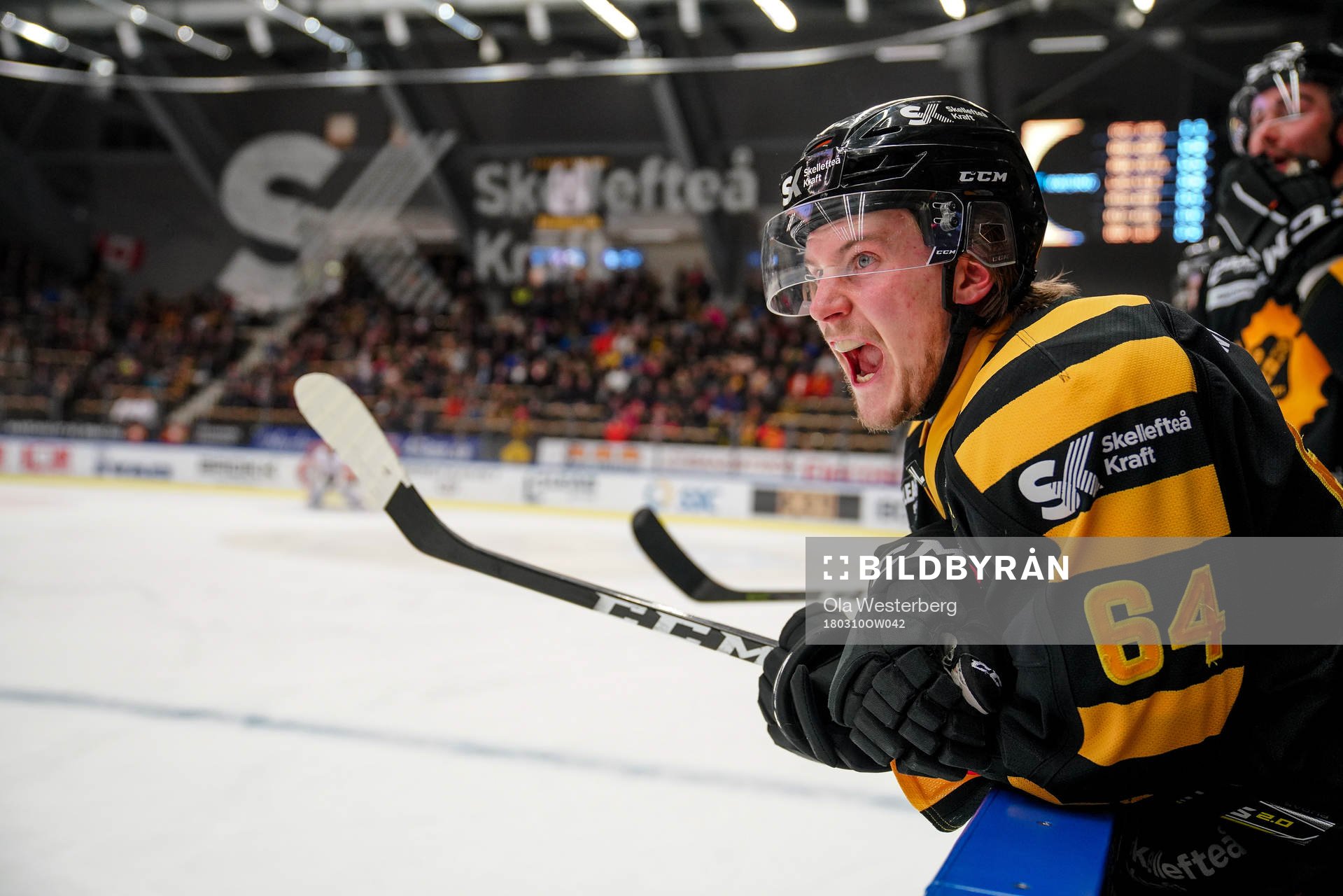 Skellefteås Jonathan Pudas