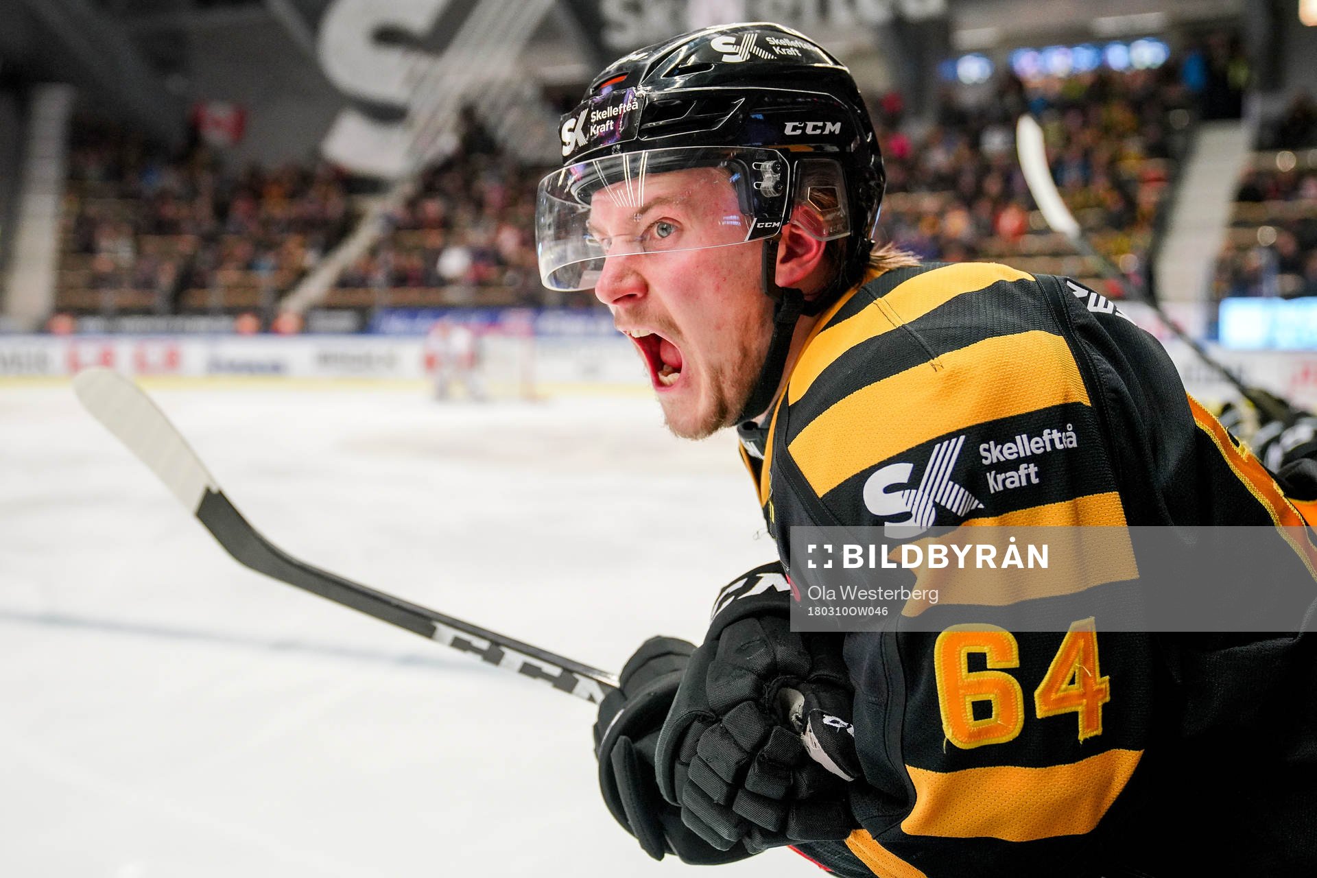 Skellefteås Jonathan Pudas