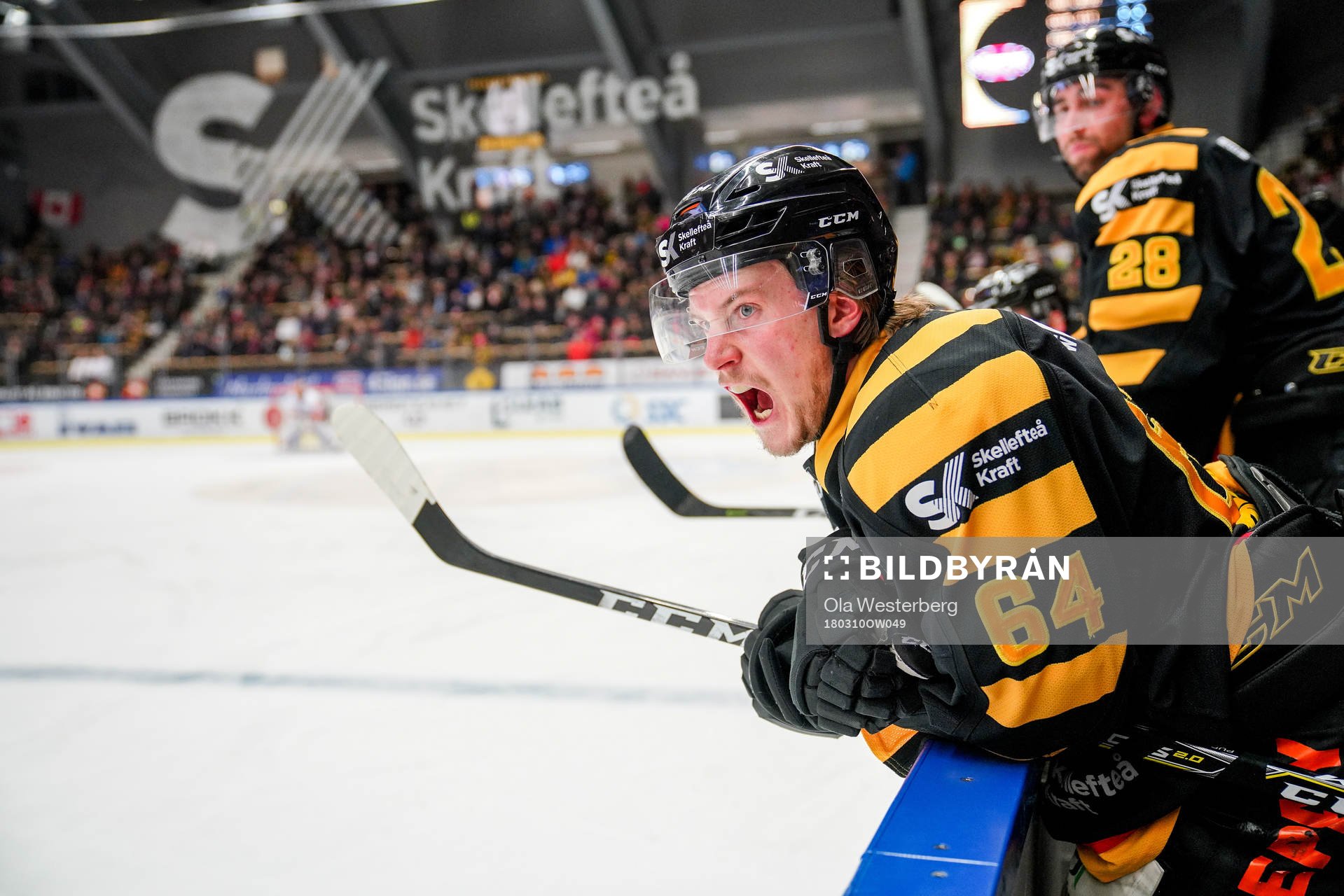 Skellefteås Jonathan Pudas