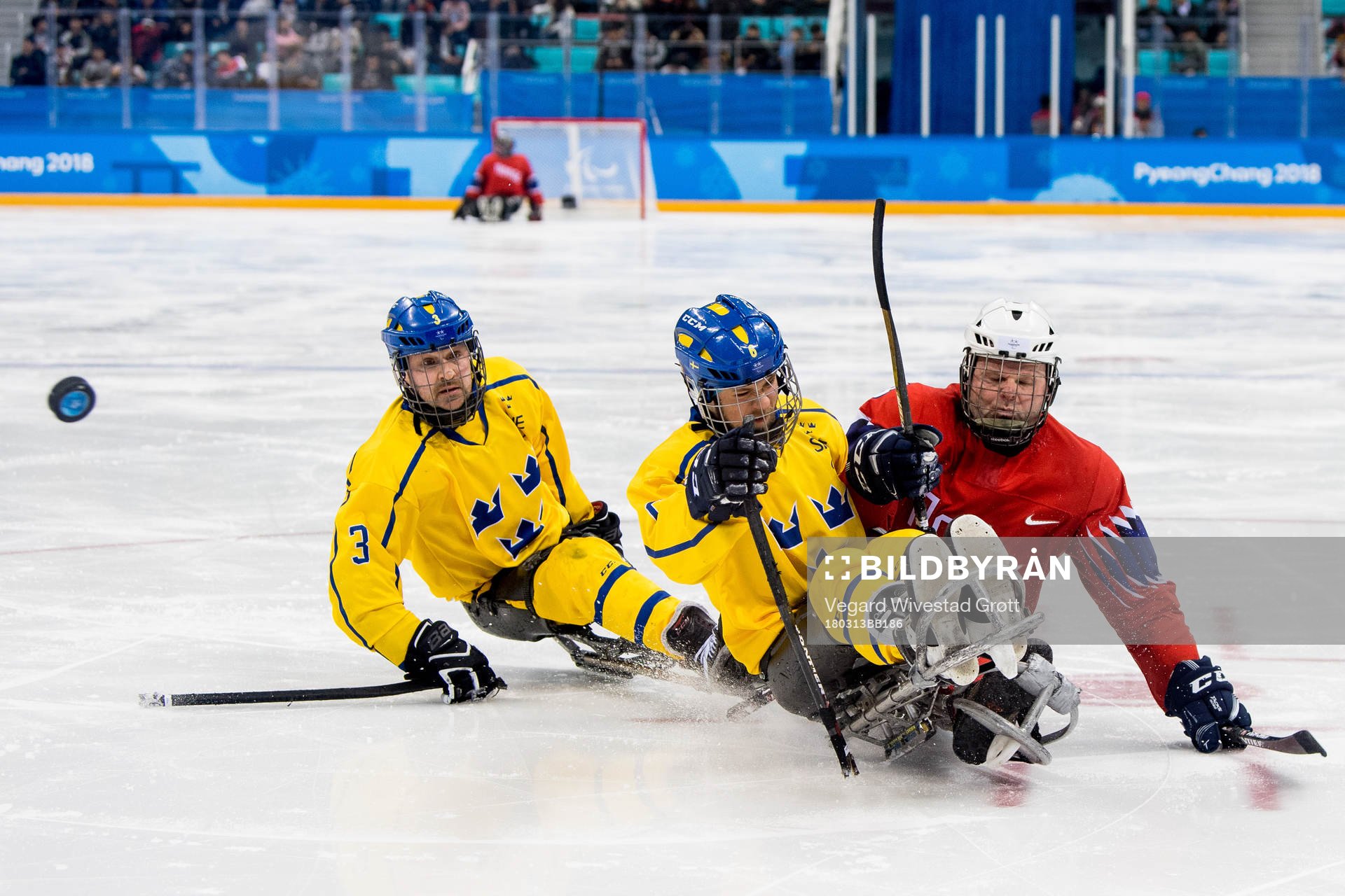 Niklas Ingvarsson of Sweden, Peter Nilsson of Sweden and